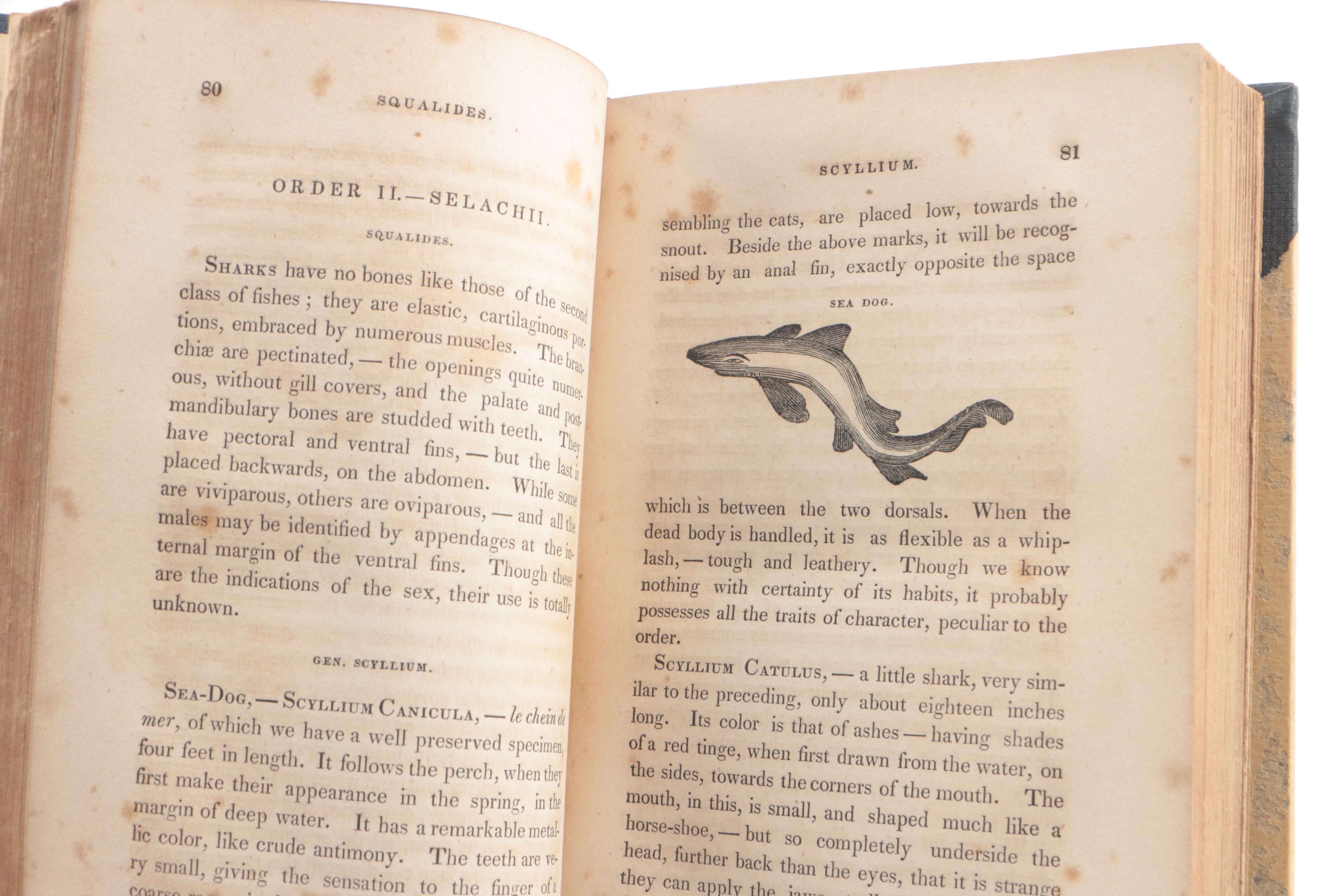 1833 "Natural History of the Fishes of Massachusetts" by Jerome V. C. Smith