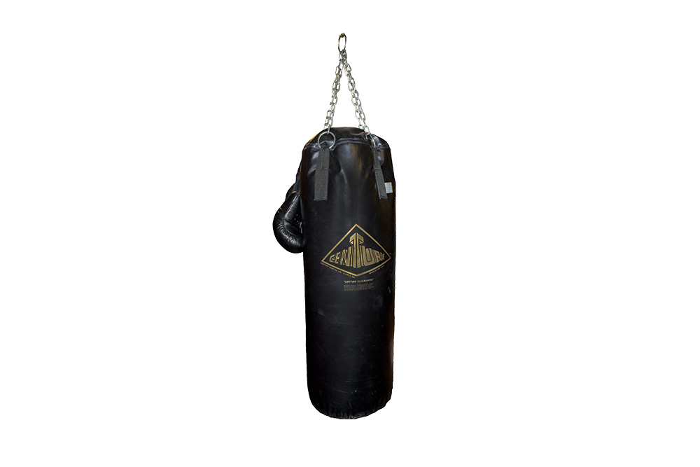 Century Punching Bag with Boxing Gloves