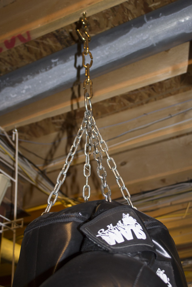 Century Punching Bag with Boxing Gloves