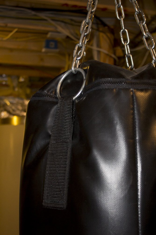 Century Punching Bag with Boxing Gloves