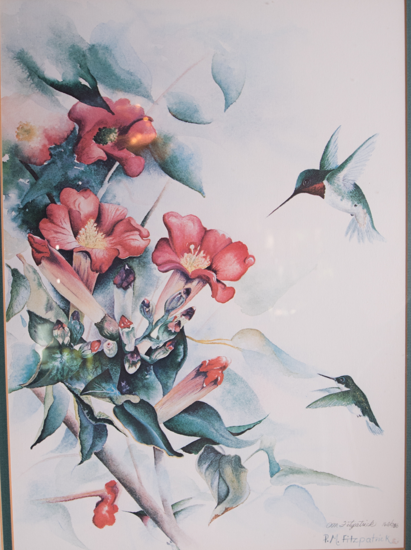P.M. Fitzpatrick Ltd. Ed. Offset Lithograph of Hummingbirds