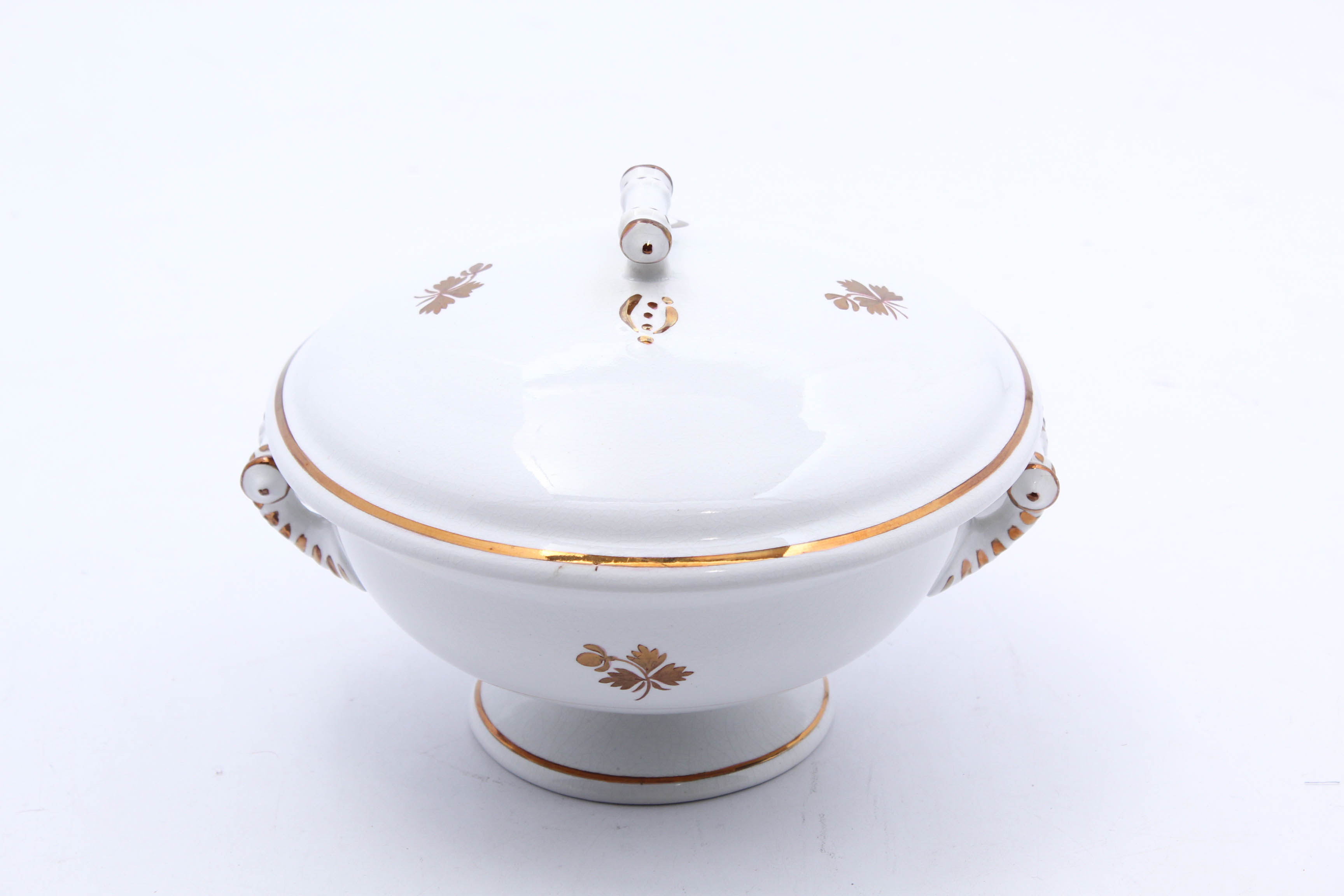 Antique Tea Leaf Ironstone China