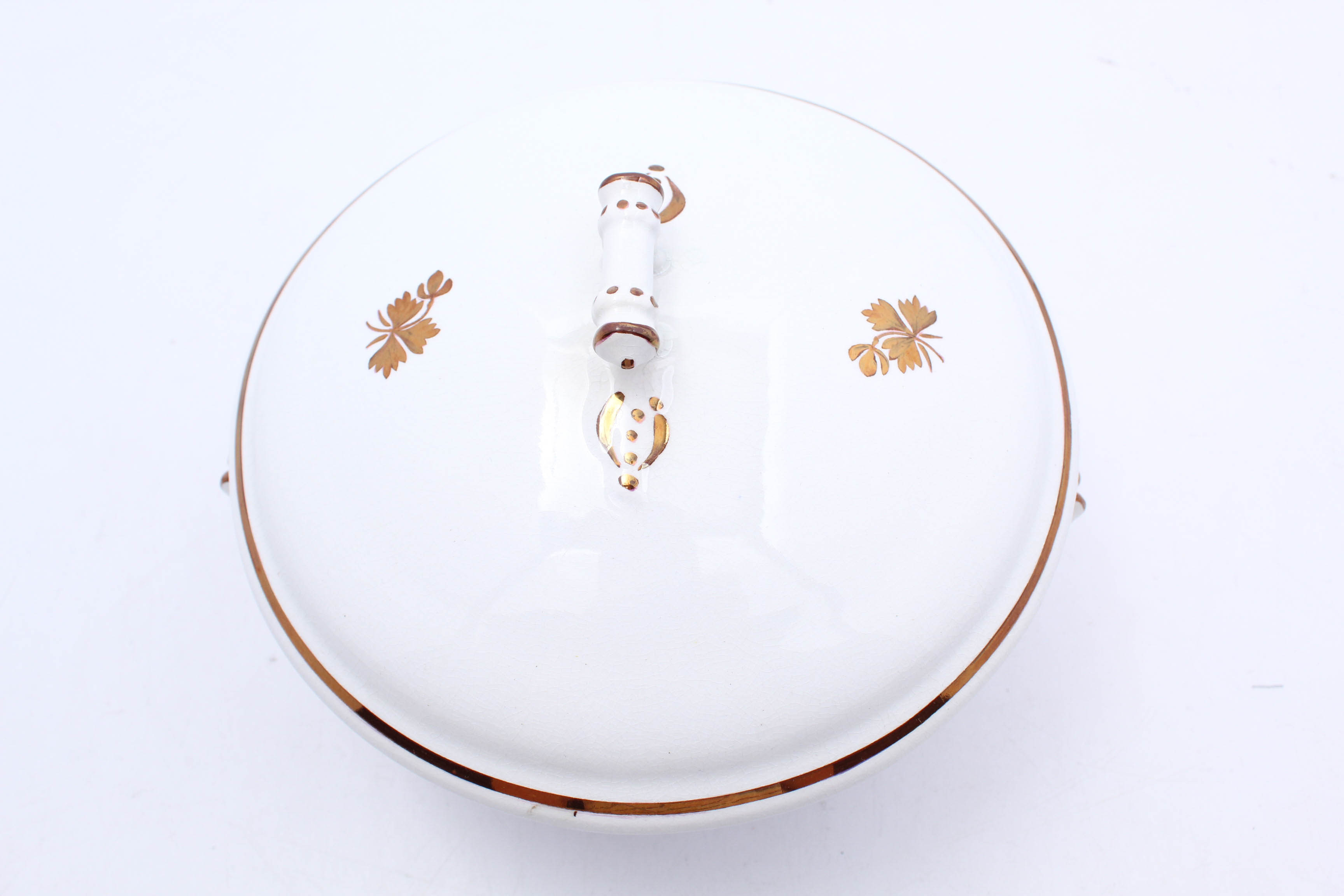 Antique Tea Leaf Ironstone China