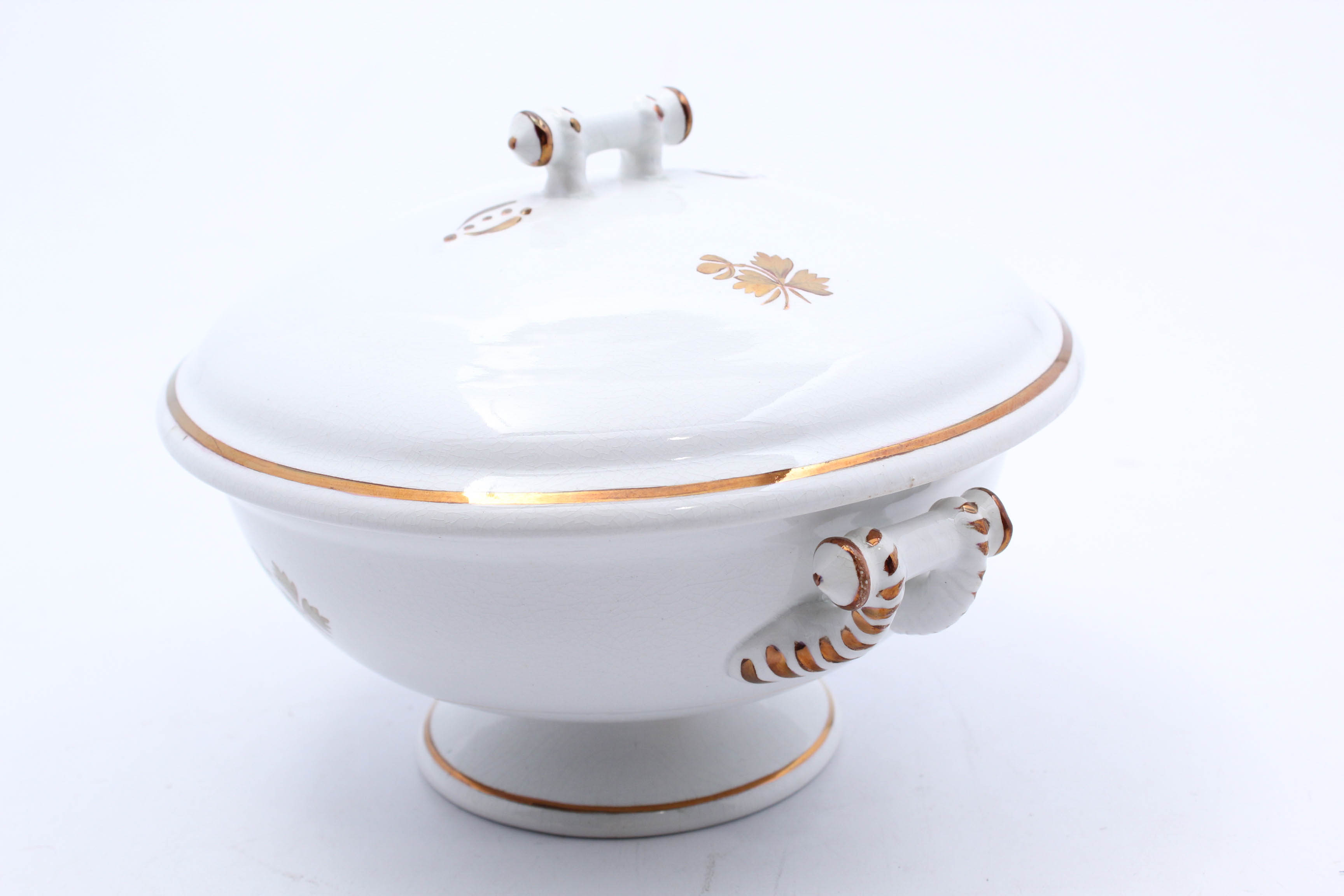 Antique Tea Leaf Ironstone China