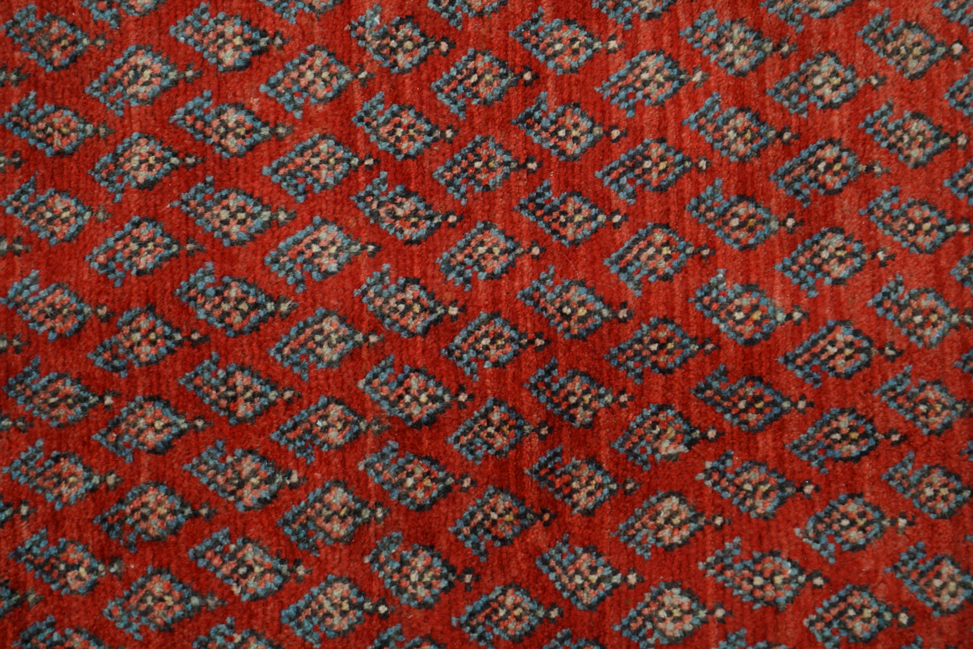 Hand-Knotted Persian Everu Wool Carpet Runner