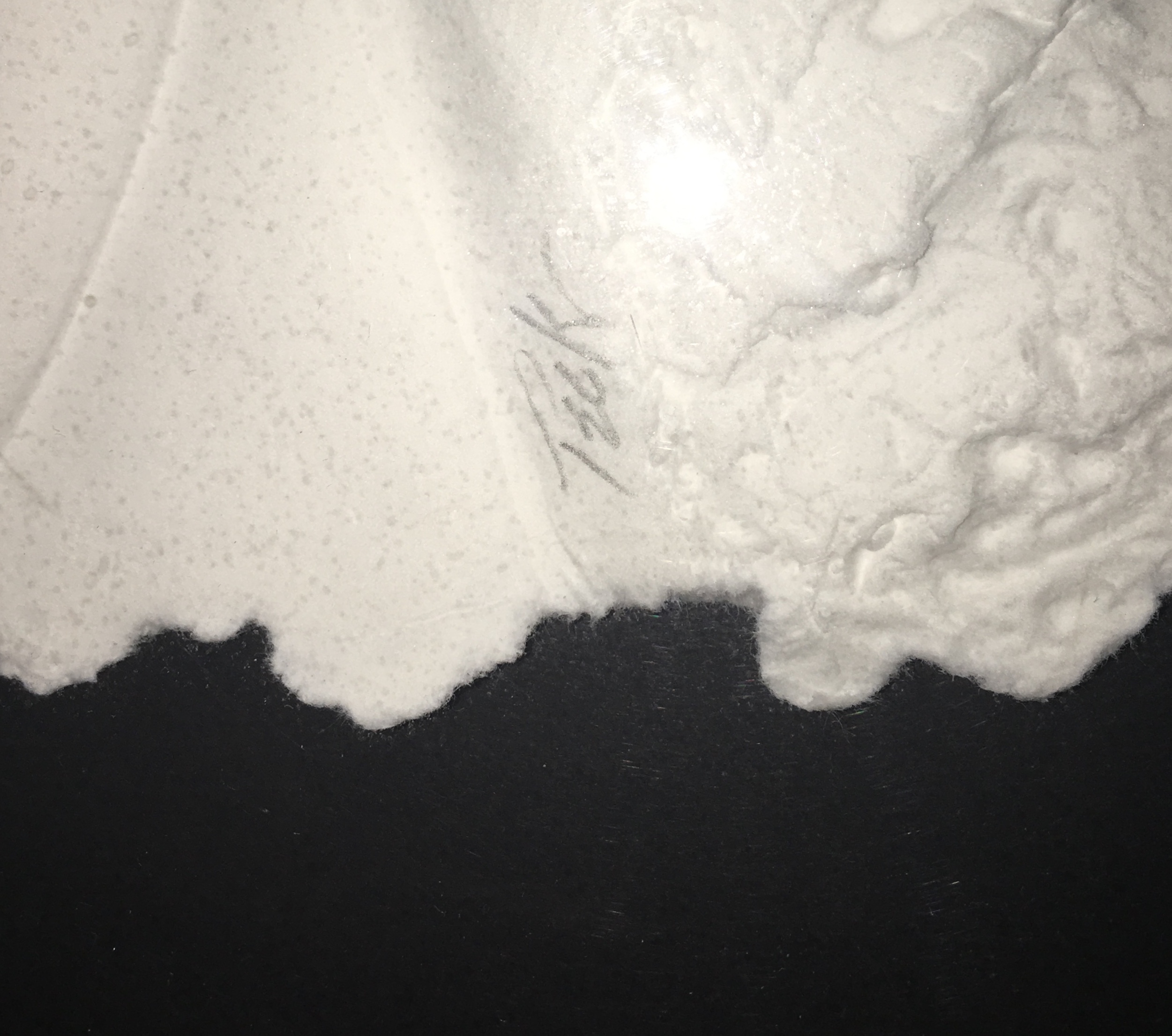 Roberta Peck Cast Paper Sculptures