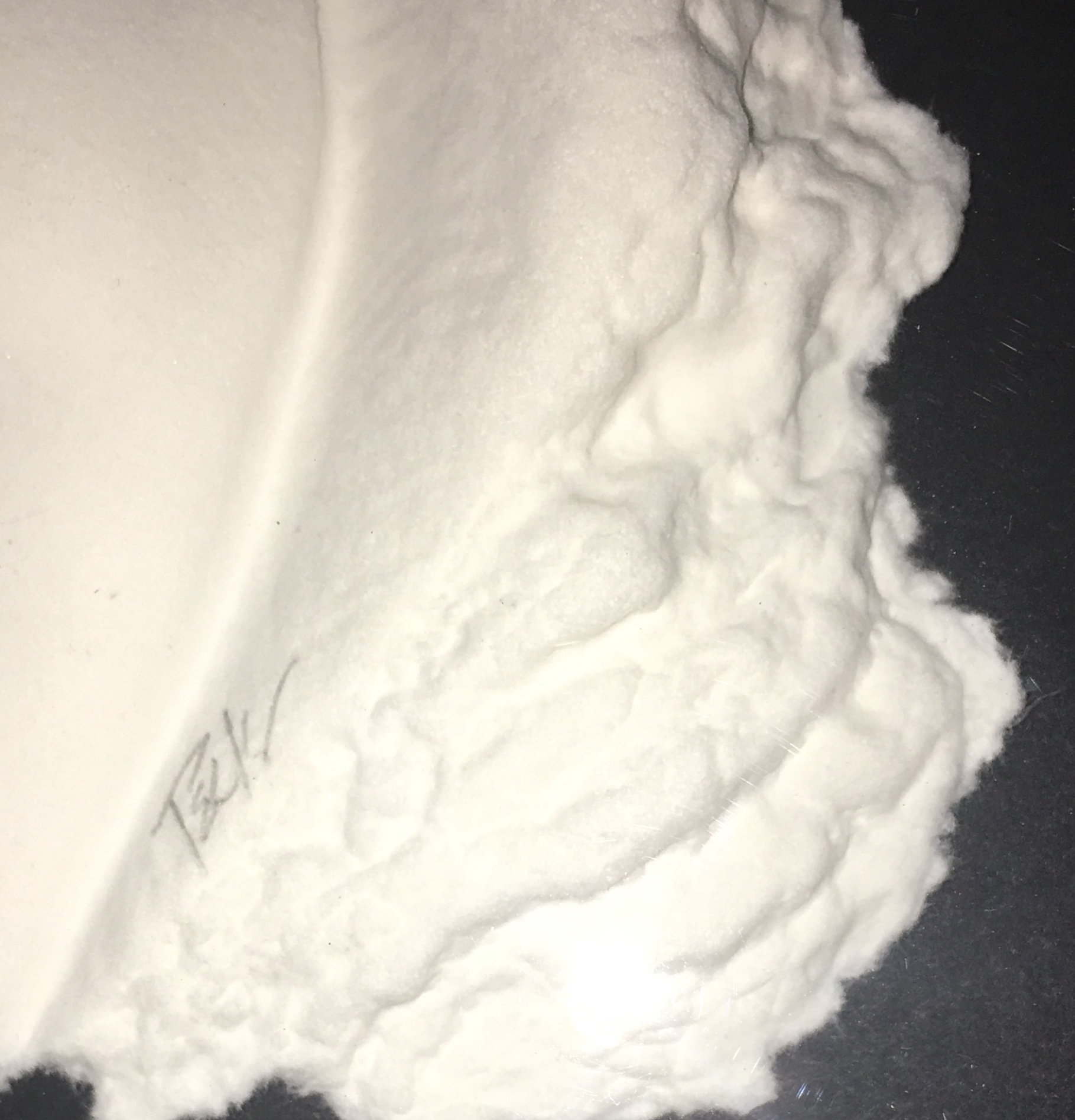 Roberta Peck Cast Paper Sculptures