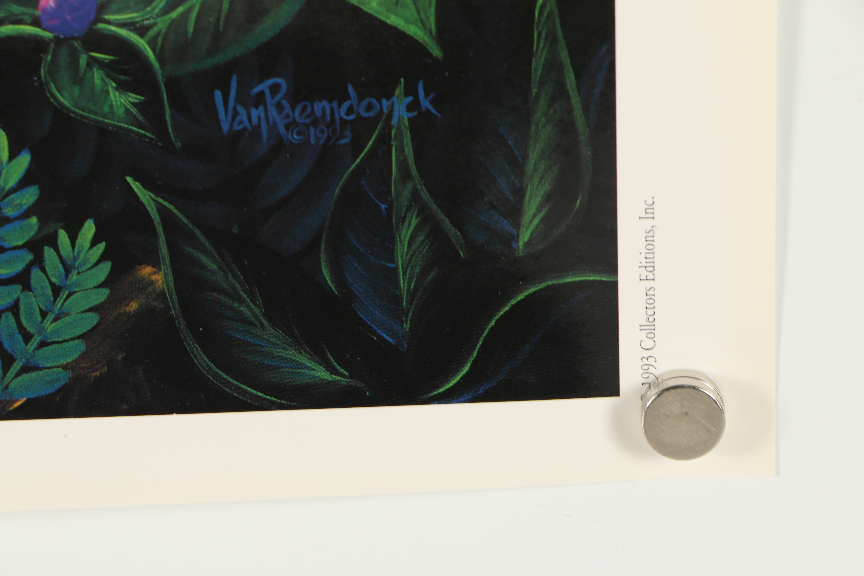 Offset Lithograph After Eric Van Raemdonck "Living Legends"