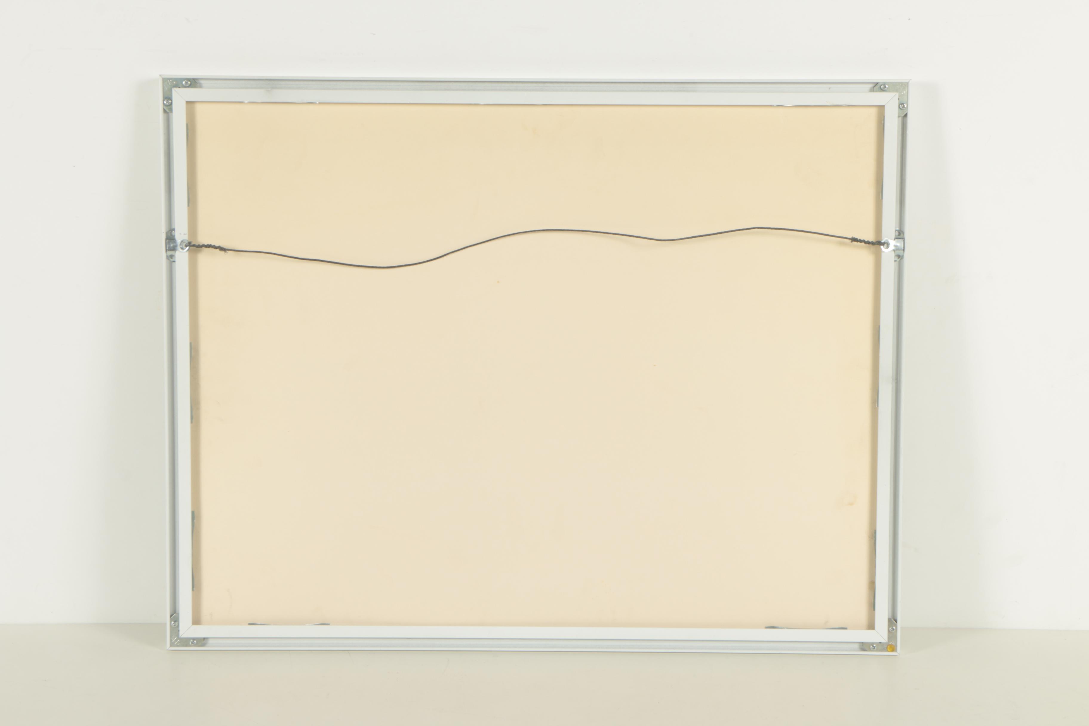 Barbara Kauffmann Locke Halftone of Houseplant Collection