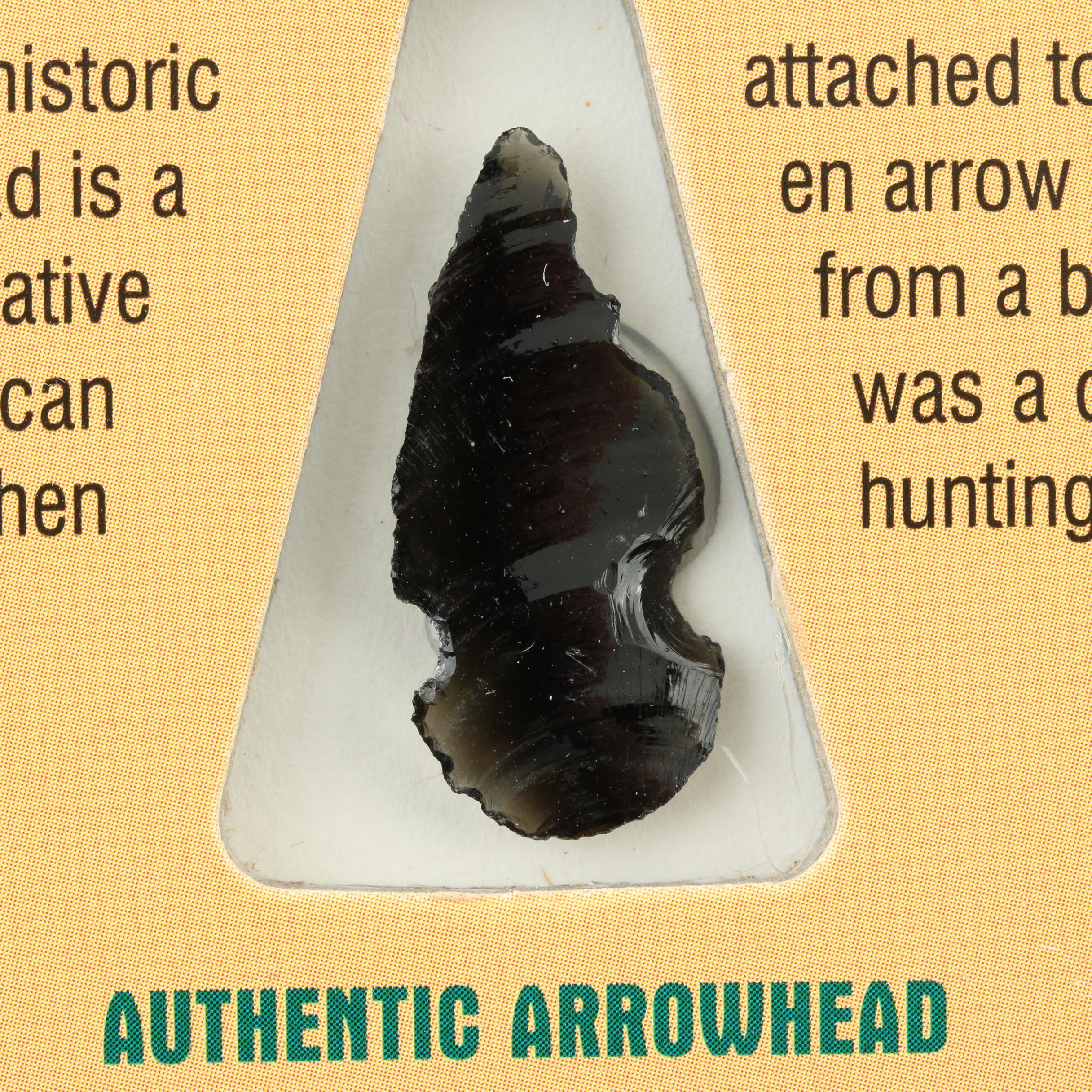 "Native American Arrowhead and Coin Collection" and a 3-Cent Nickel Coin