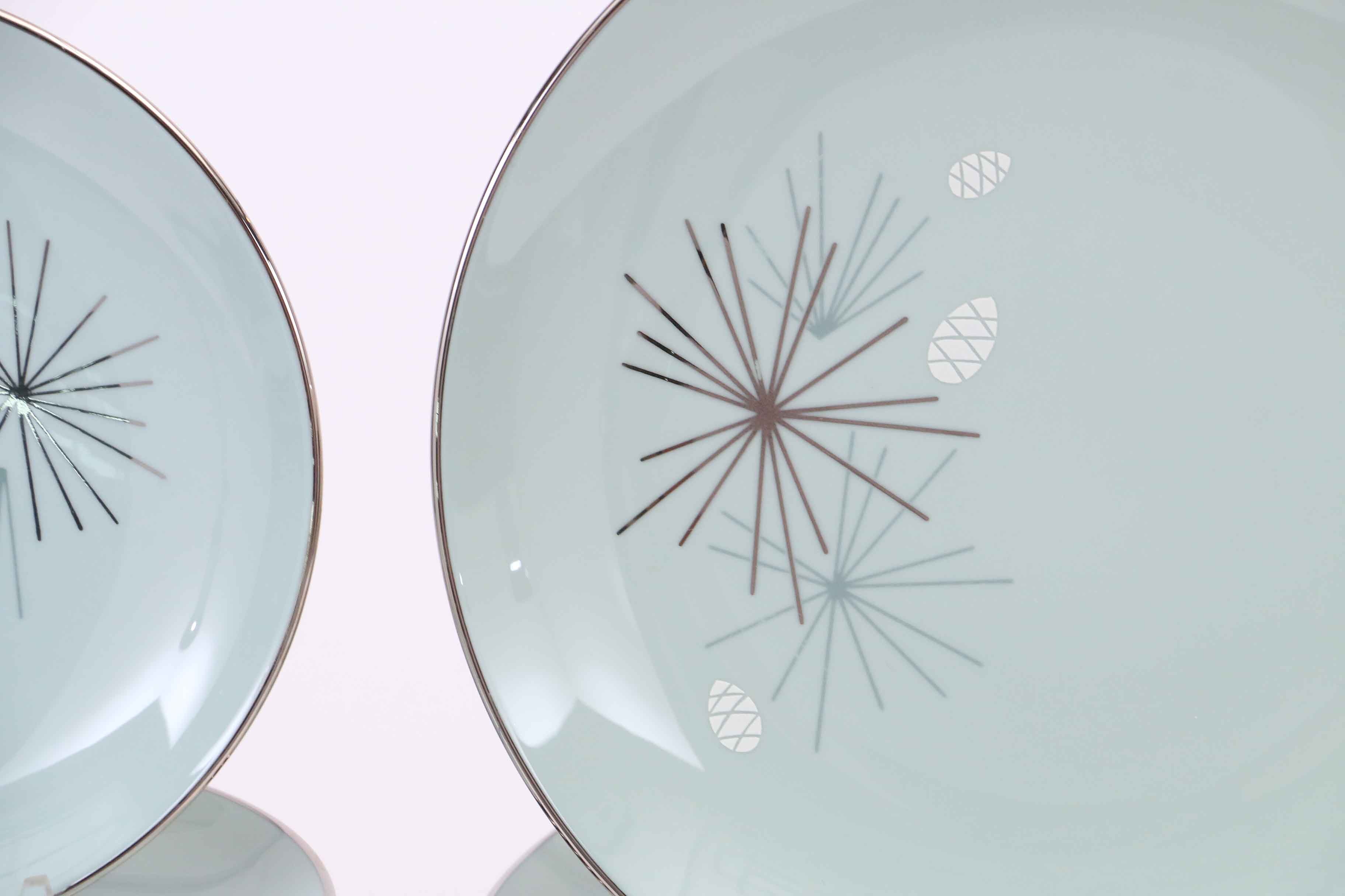 Franciscan Masterpiece China "Silver Pine" China Set