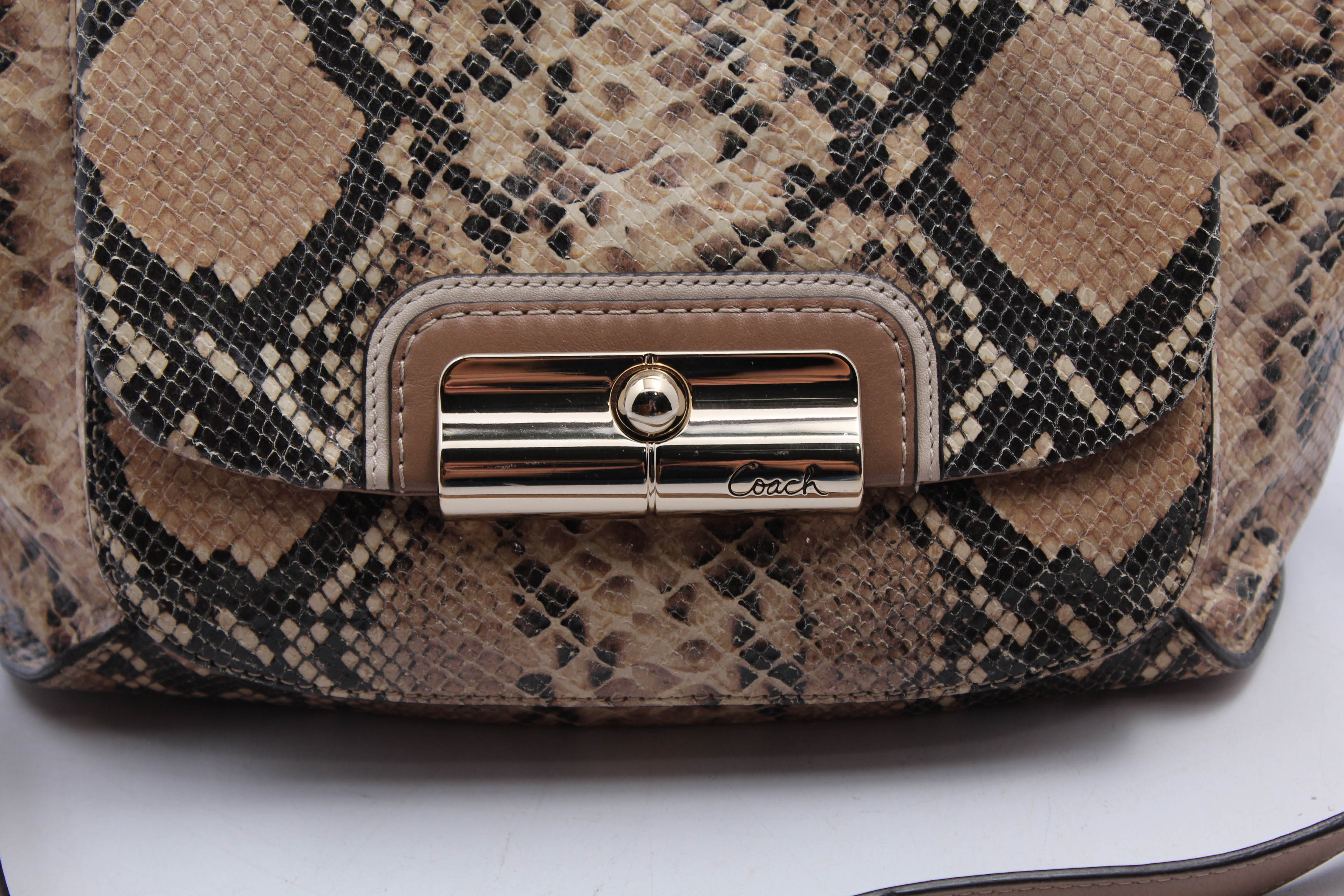 Coach Kristin Python Embossed Leather Hobo Handbag