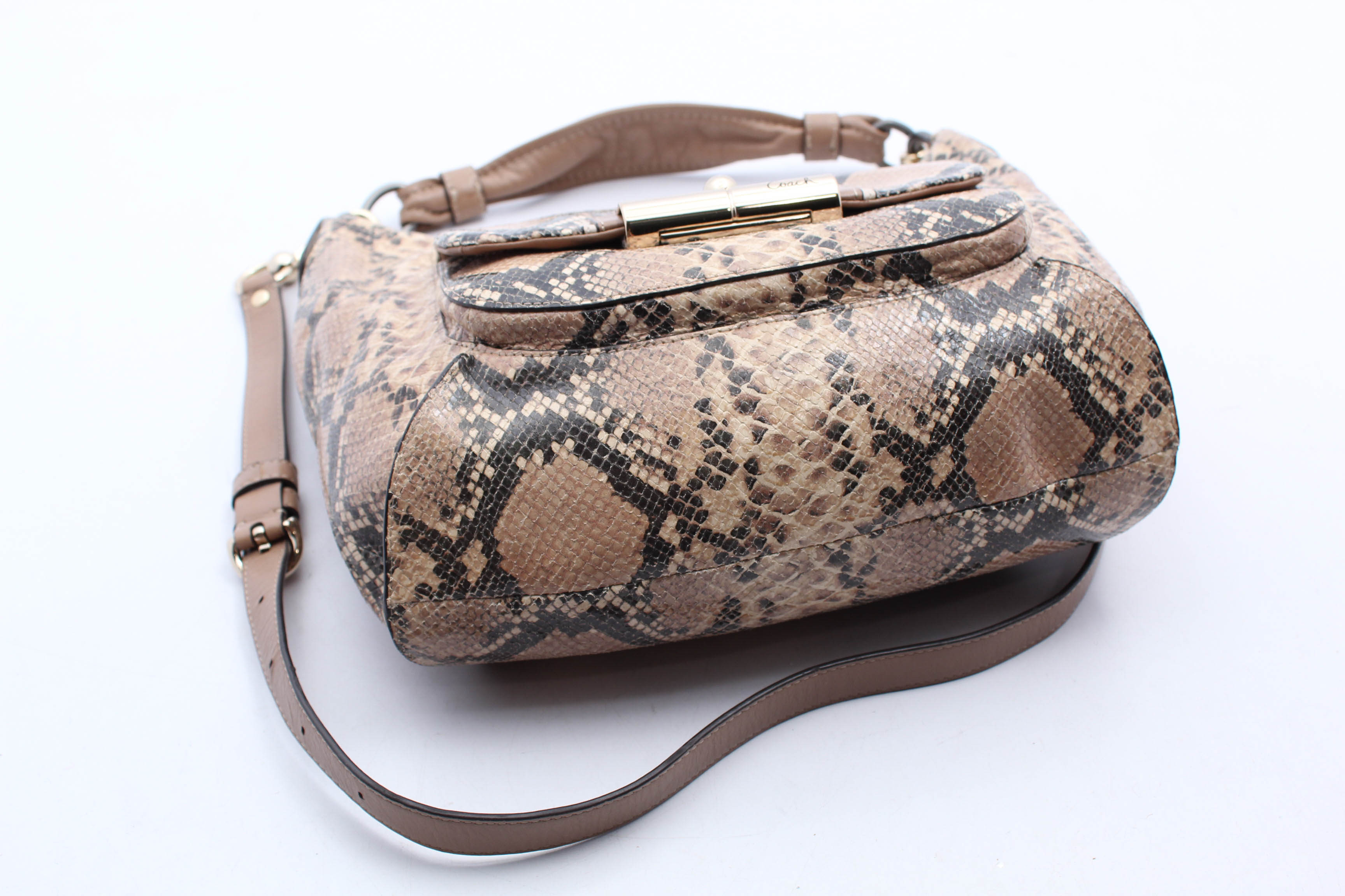 Coach Kristin Python Embossed Leather Hobo Handbag