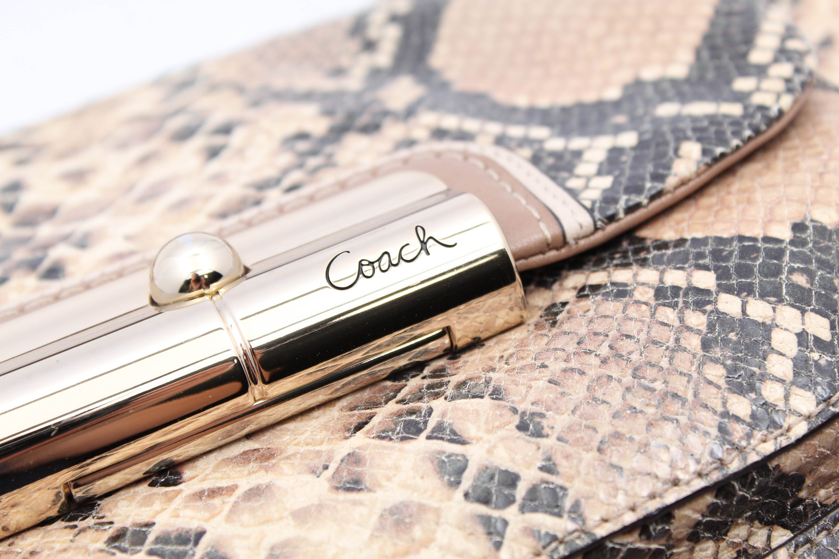 Coach Kristin Python Embossed Leather Hobo Handbag