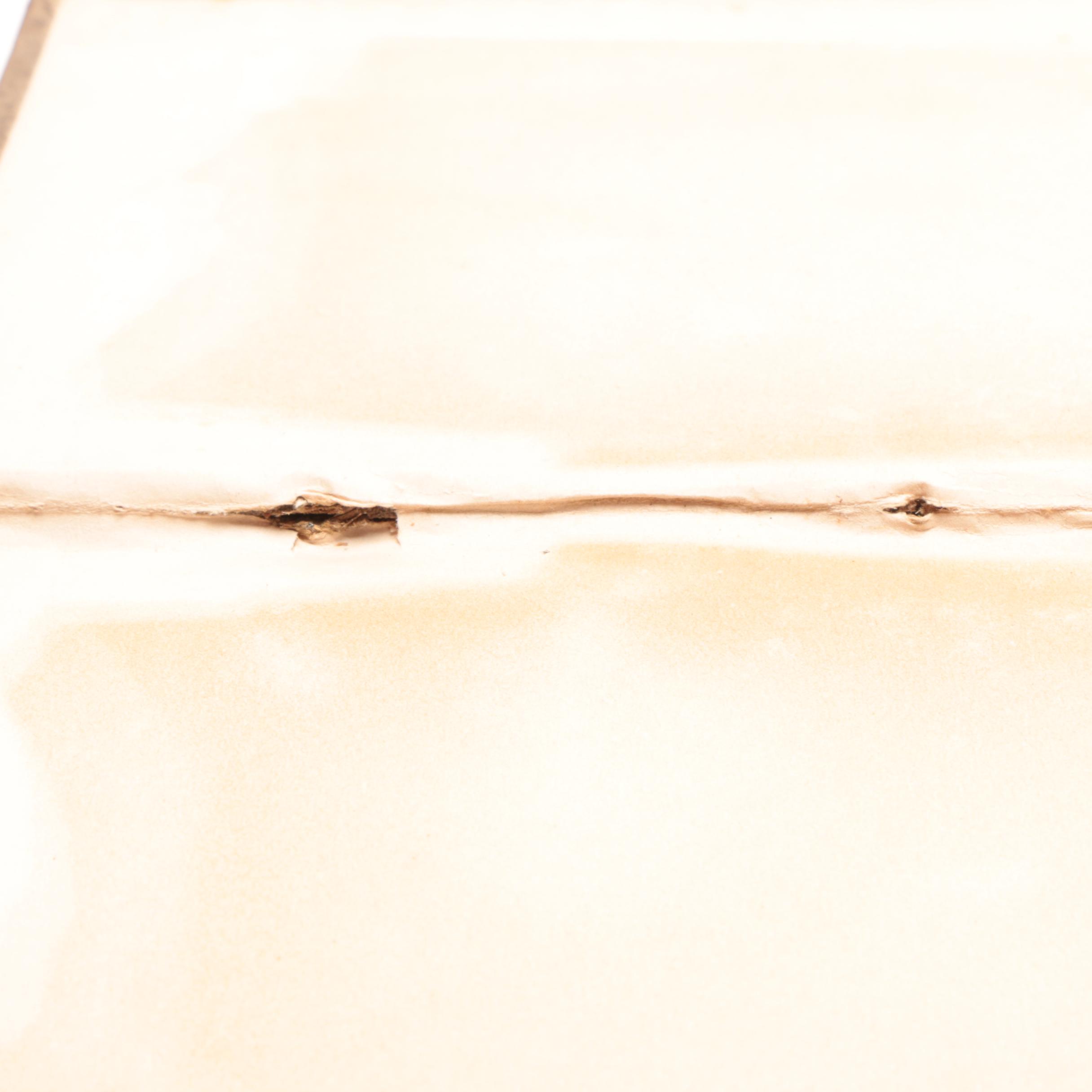 Vintage Books Featuring "Roughing It" by Mark Twain