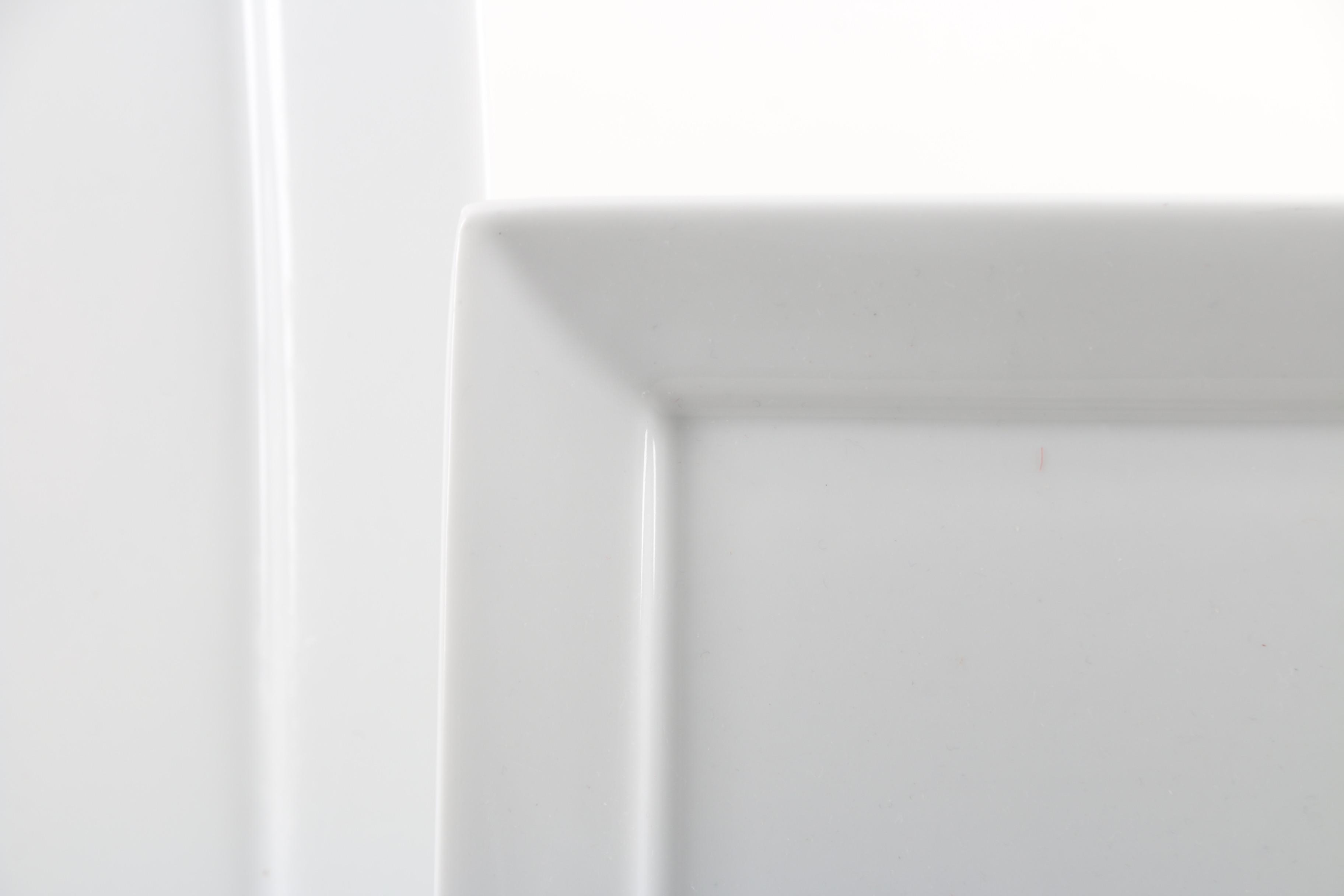 Restoration Hardware Porcelain Dinnerware