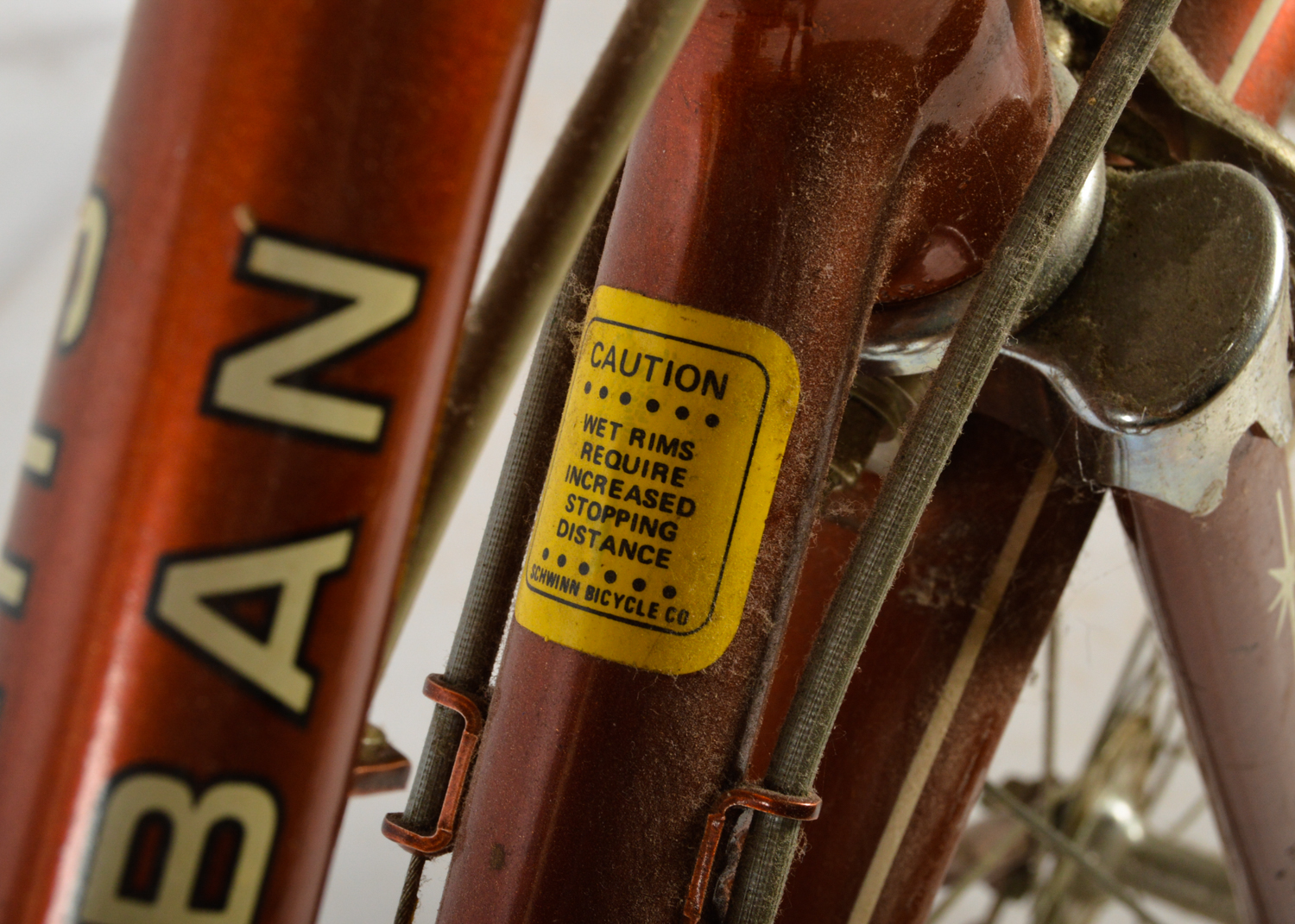 Vintage Schwinn "Suburban" Women's Bicycle