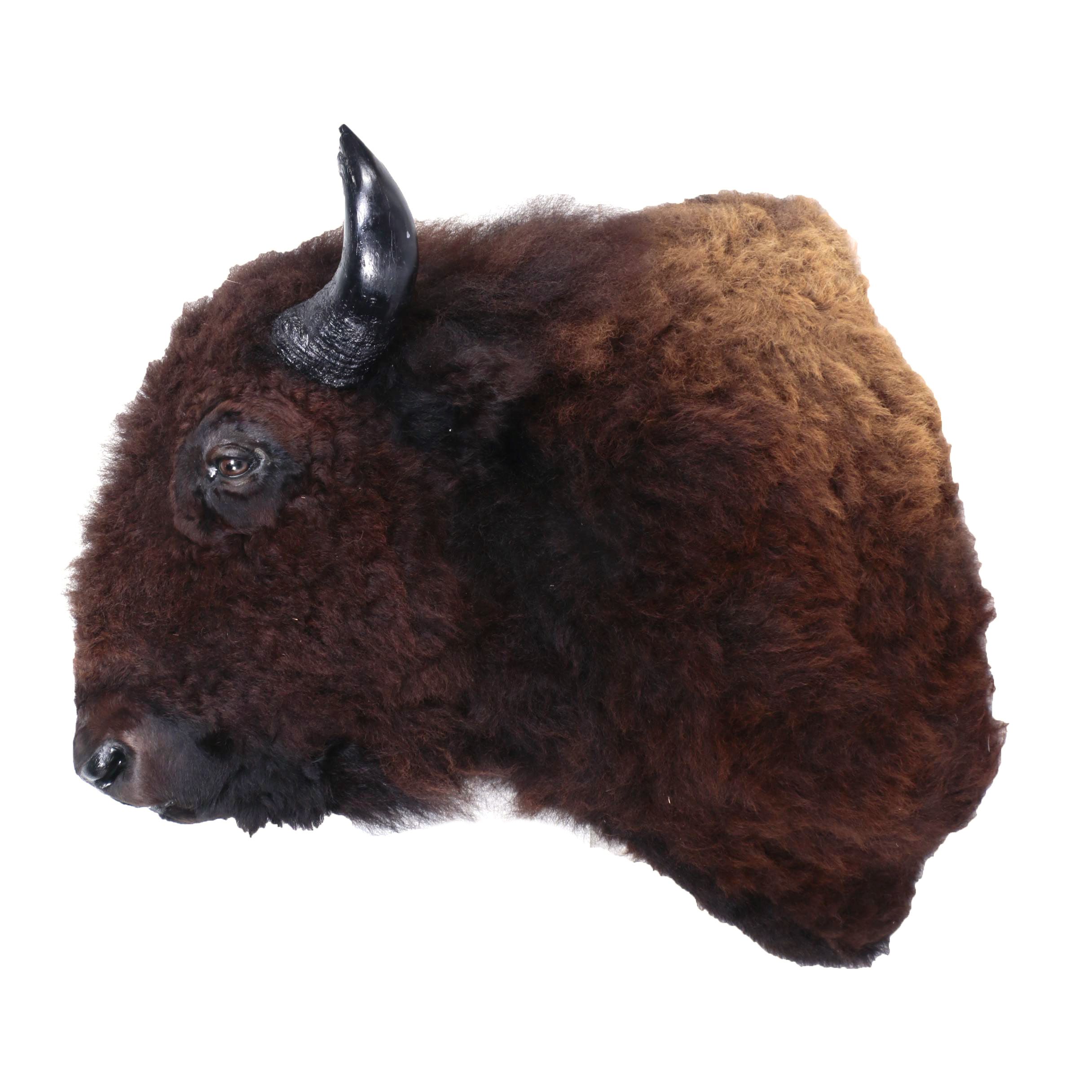 Large Taxidermy Buffalo Bison Head and Shoulder Mount