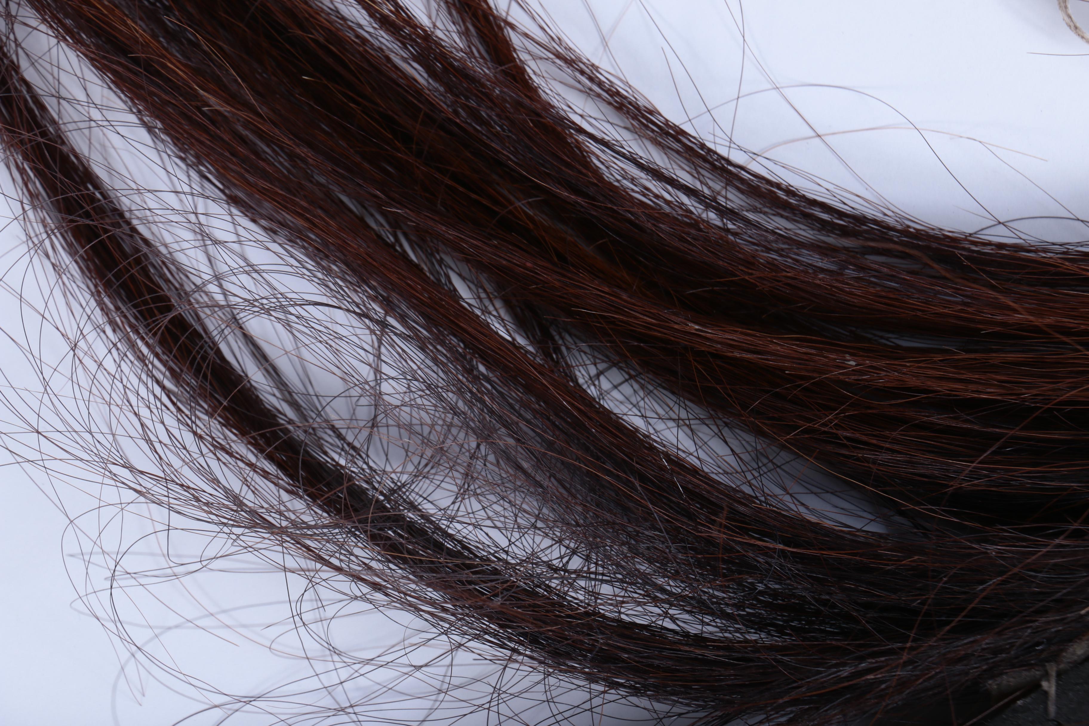 Southwestern Folk Art Wooden Horse Dance Stick