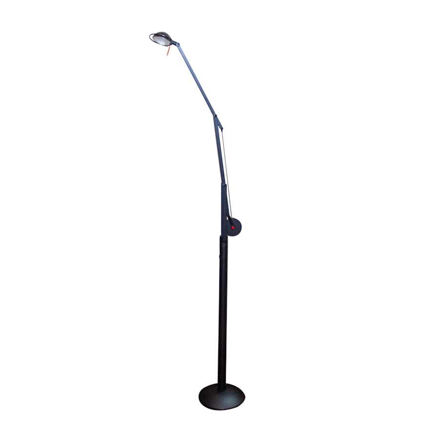 Contemporary Floor Task Lamp