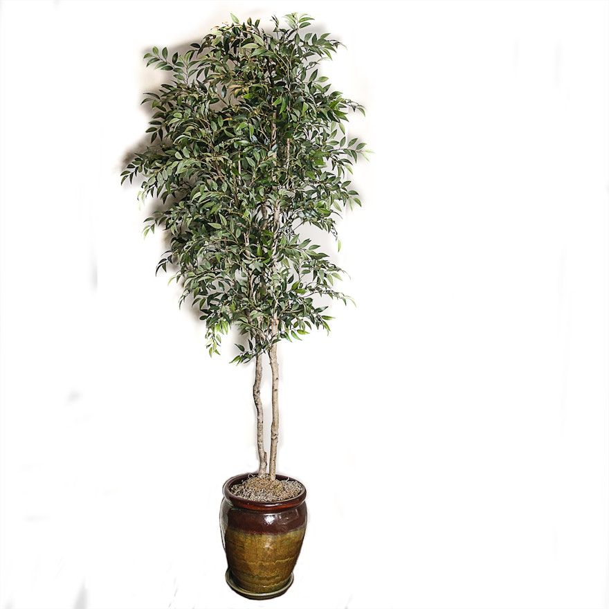 Artificial Ficus Tree in Rustic Ceramic Planter