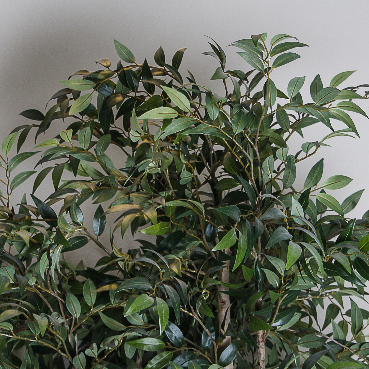 Artificial Ficus Tree in Rustic Ceramic Planter