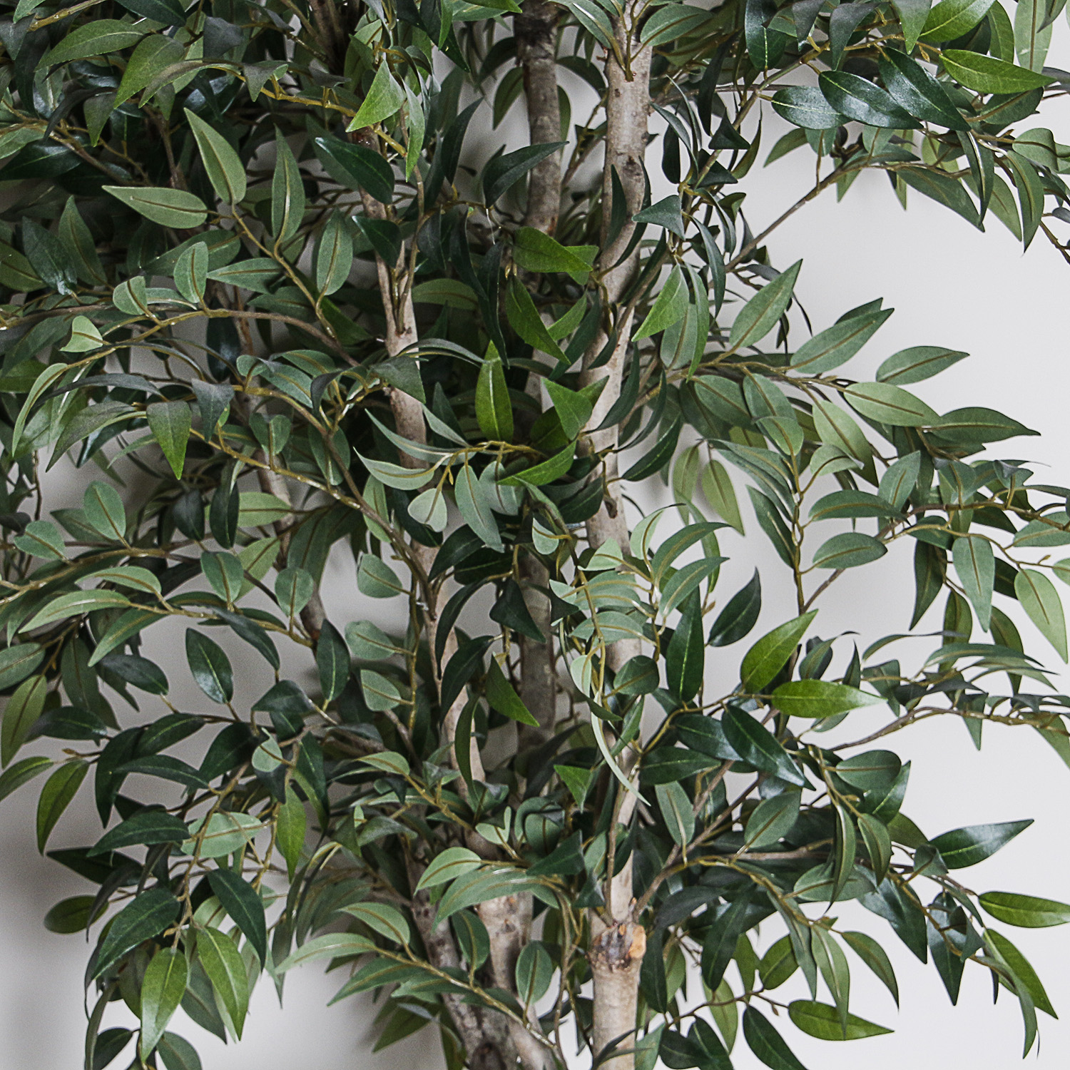 Artificial Ficus Tree in Rustic Ceramic Planter