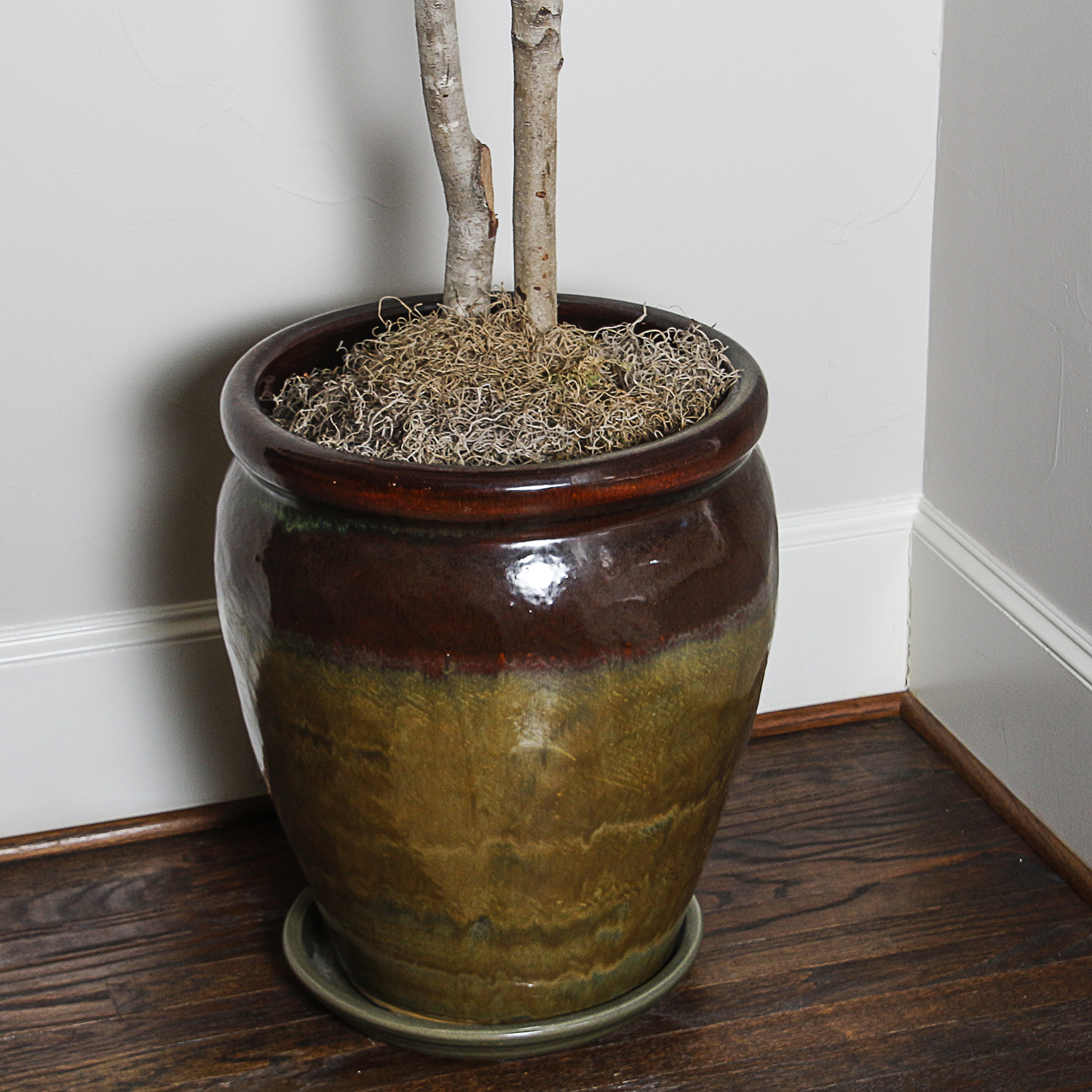 Artificial Ficus Tree in Rustic Ceramic Planter