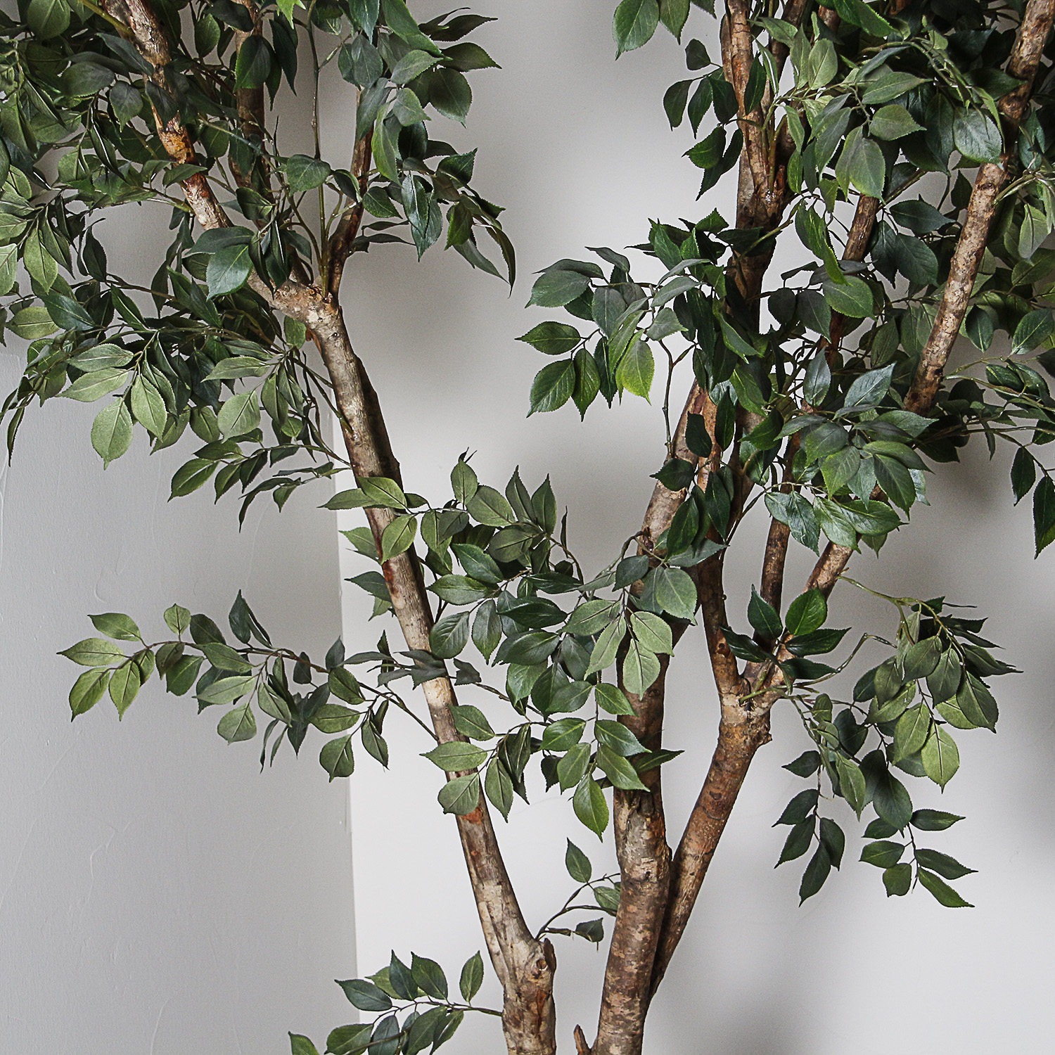 Artificial Ficus Tree in Grooved Ceramic Planter