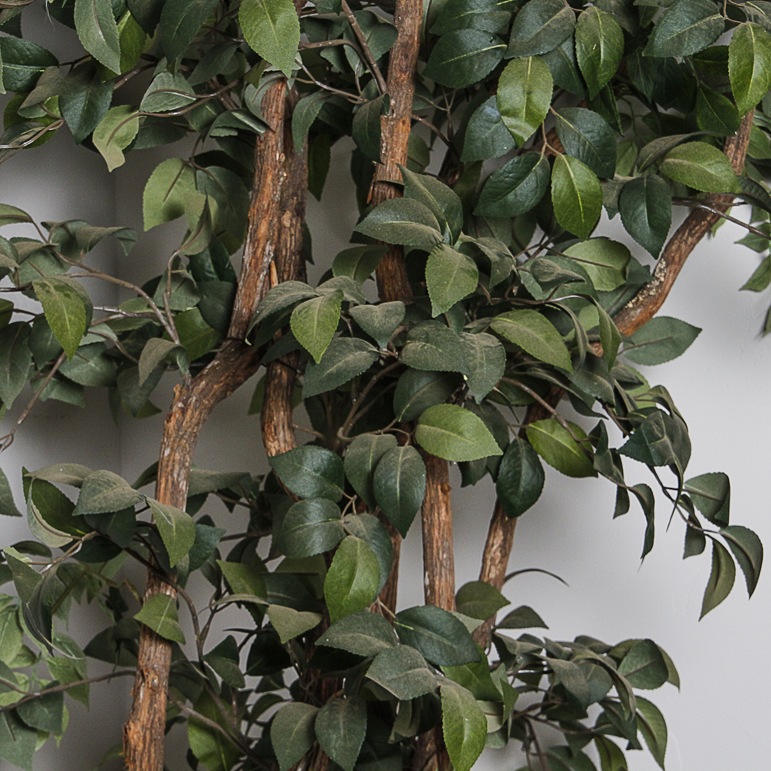 Artificial Ficus Tree with Embossed Metal Planter