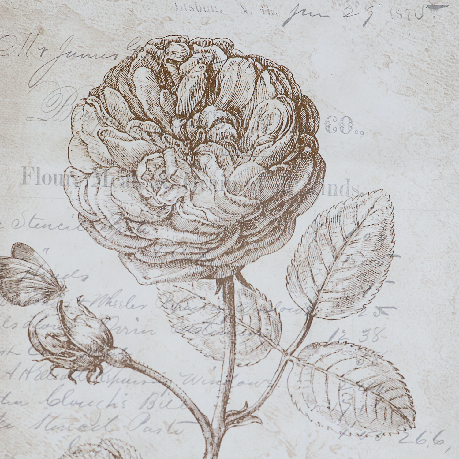 Offset Lithographs after Paula Scaletta "Primrose" and "Rose"