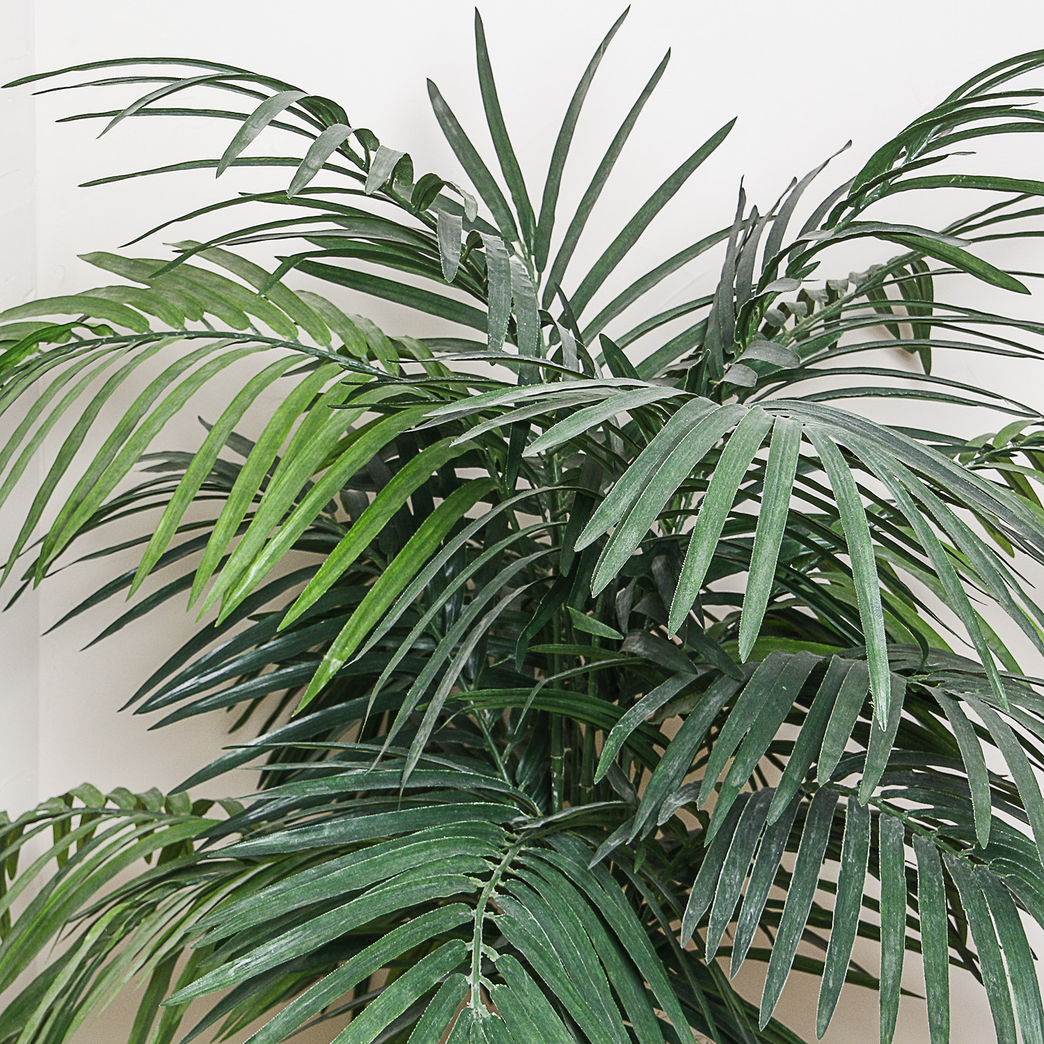 Artificial Palm Plant in Embossed Ceramic Urn