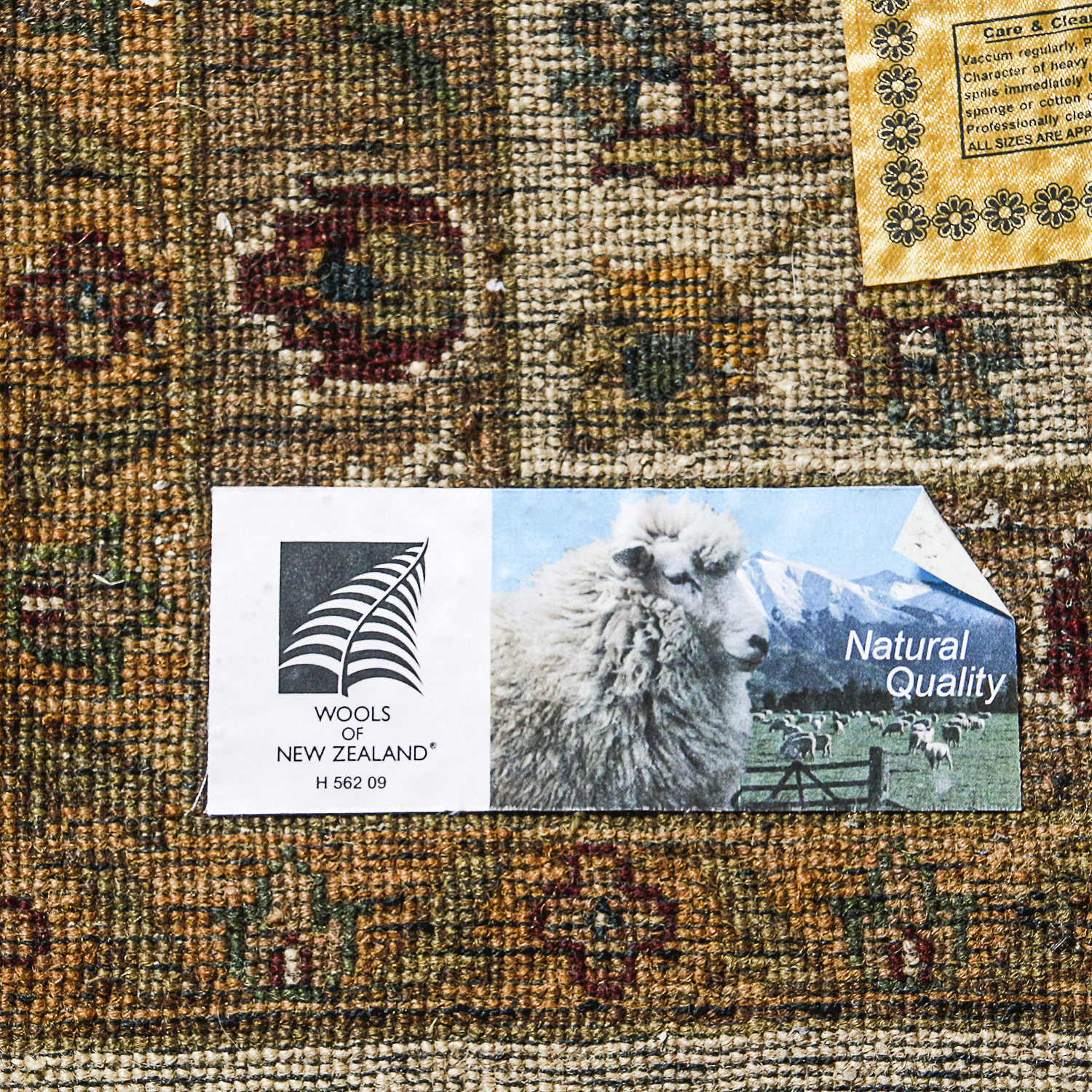 Hand-Knotted Indian "Silk Highlights" Wool Area Rug by Kalaty