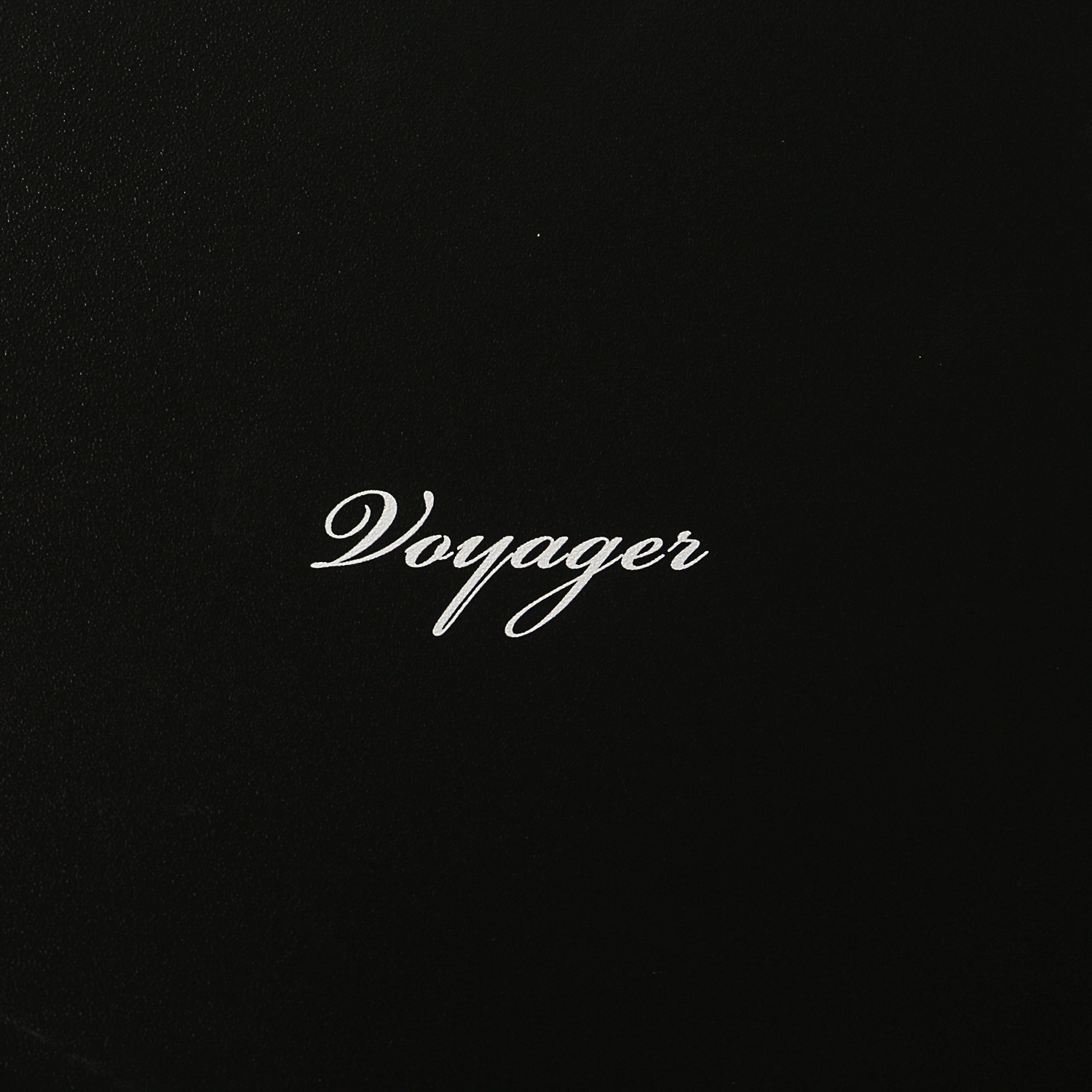 Centurion by Liberty "Voyager" Gun Safe