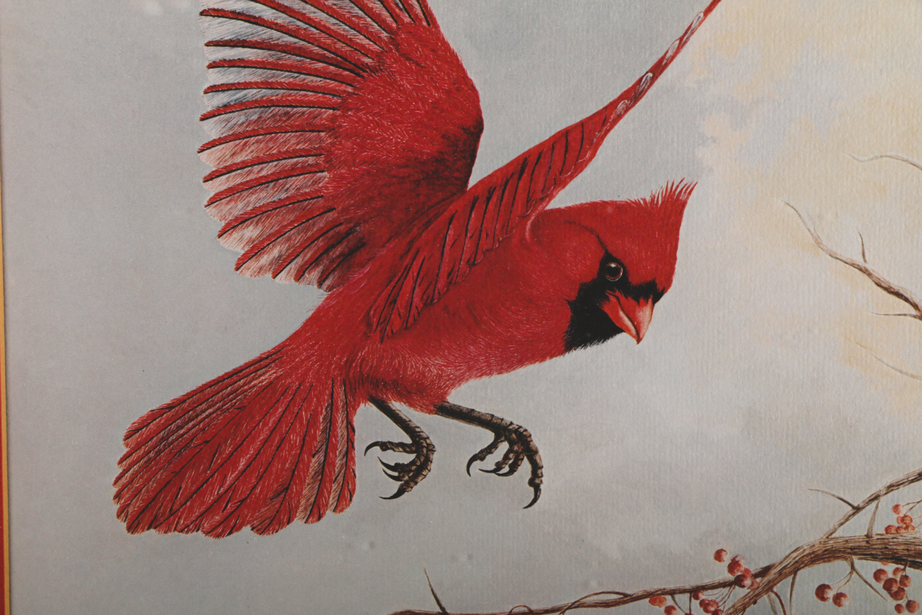 Harry Duncan Limited Edition Offset Lithograph Print "The Louisville Cardinals"