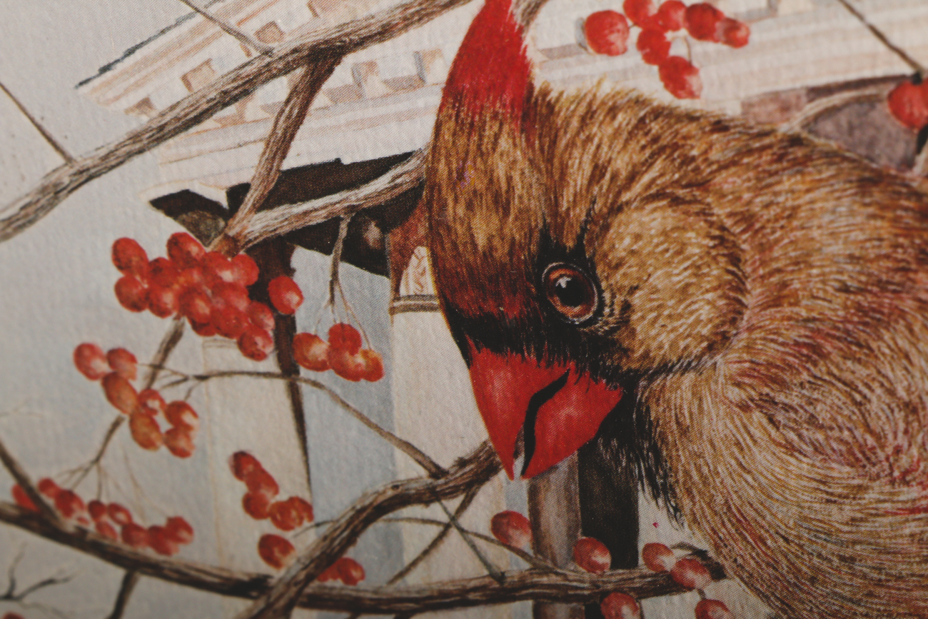 Harry Duncan Limited Edition Offset Lithograph Print "The Louisville Cardinals"