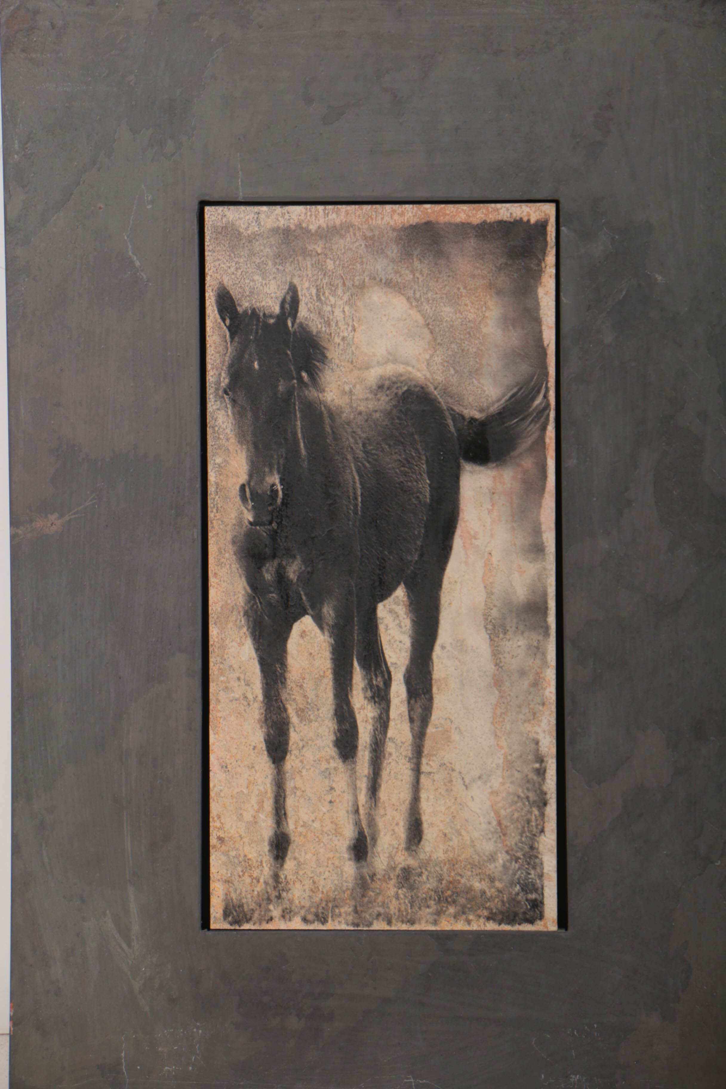 Shlomo Shuval Sierra Slate Image of a Horse