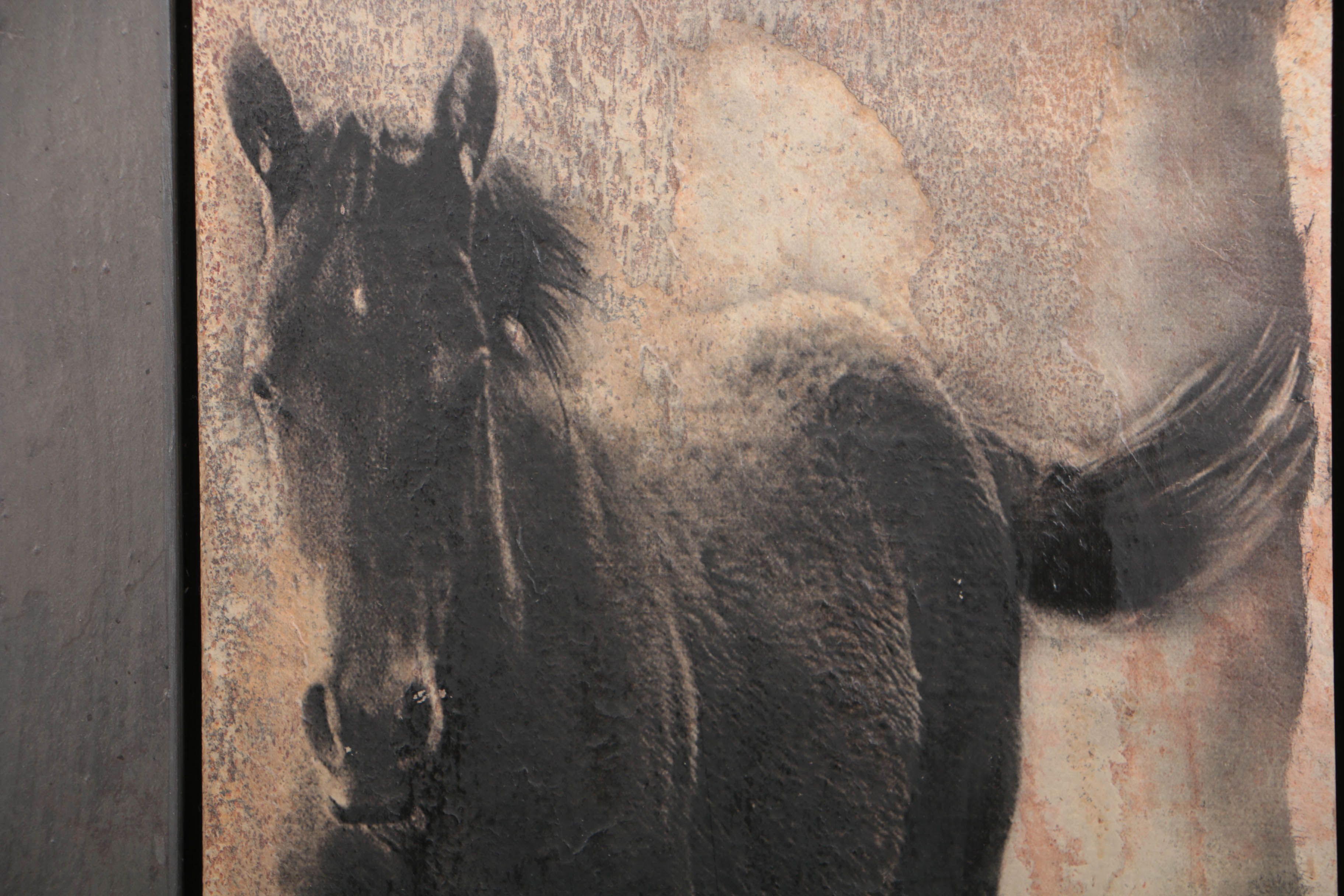 Shlomo Shuval Sierra Slate Image of a Horse