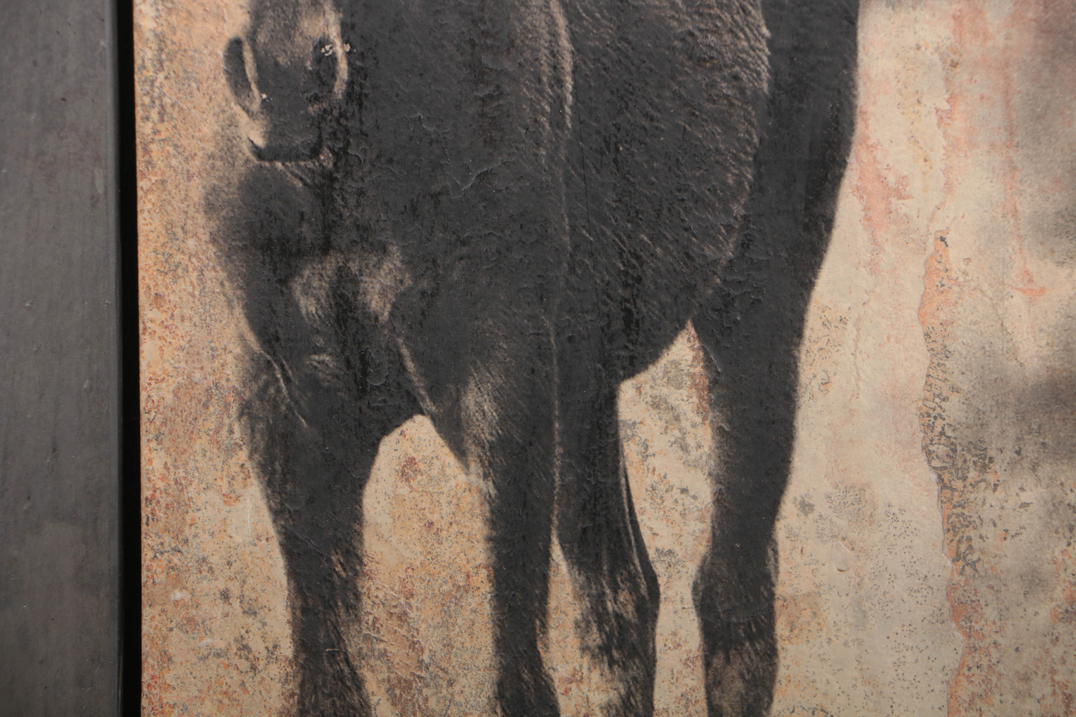 Shlomo Shuval Sierra Slate Image of a Horse
