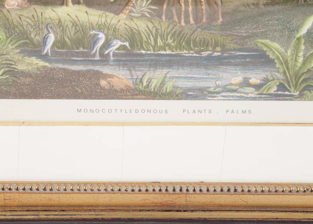 Reproduction Prints After James Steward Engravings of Landscapes