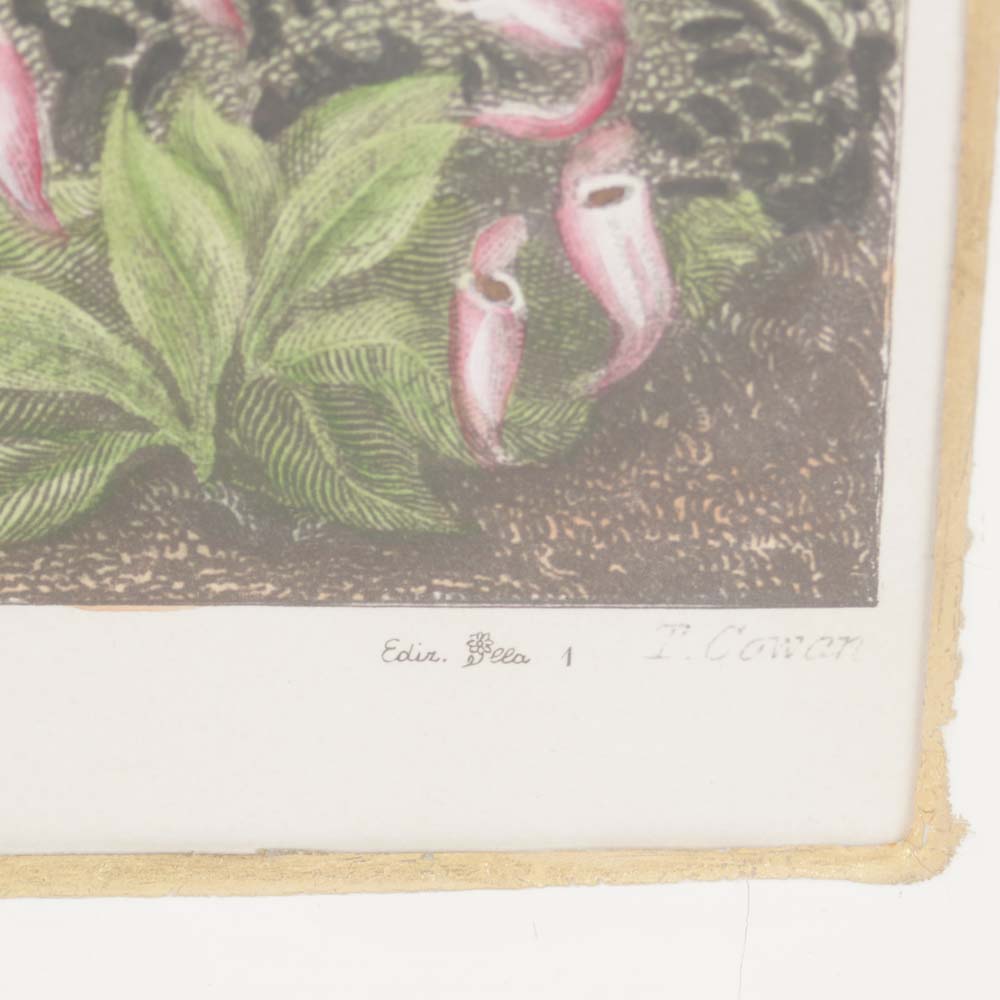 Reproduction Prints After James Steward Engravings of Landscapes