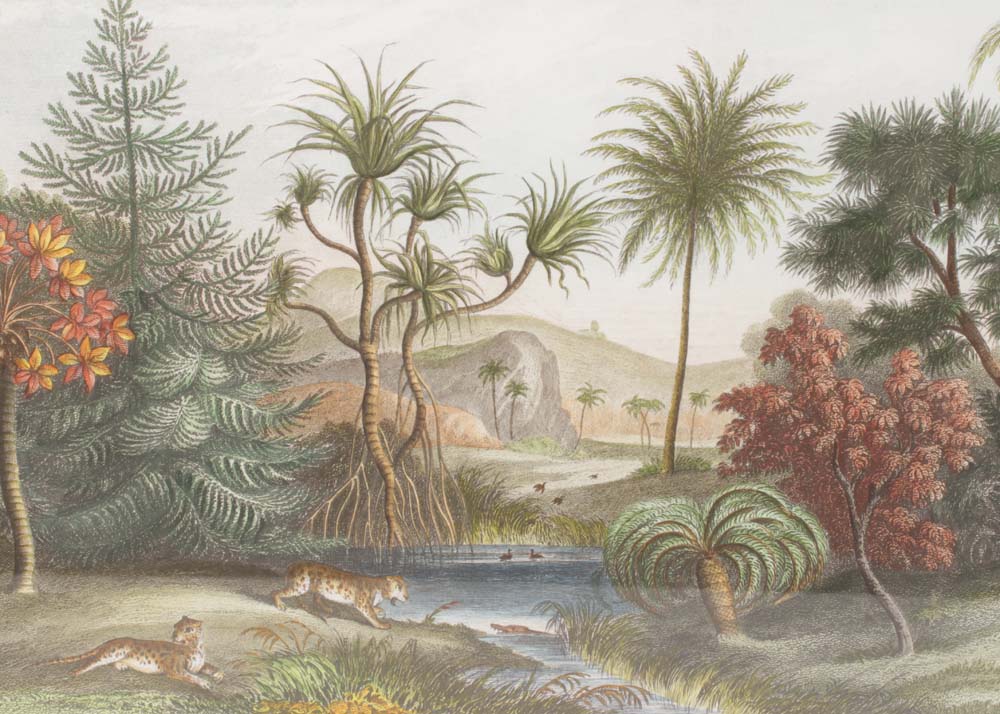 Reproduction Prints After James Steward Engravings of Landscapes