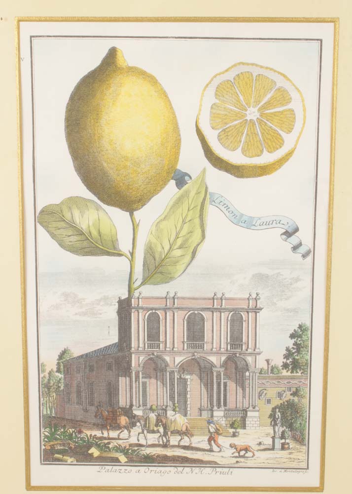 Pair of Vintage Hand Colored Lithographs