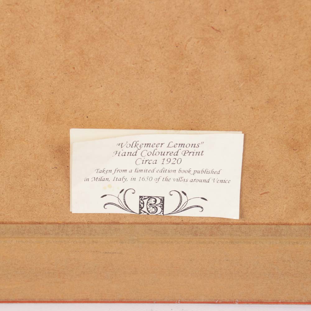 Pair of Vintage Hand Colored Lithographs