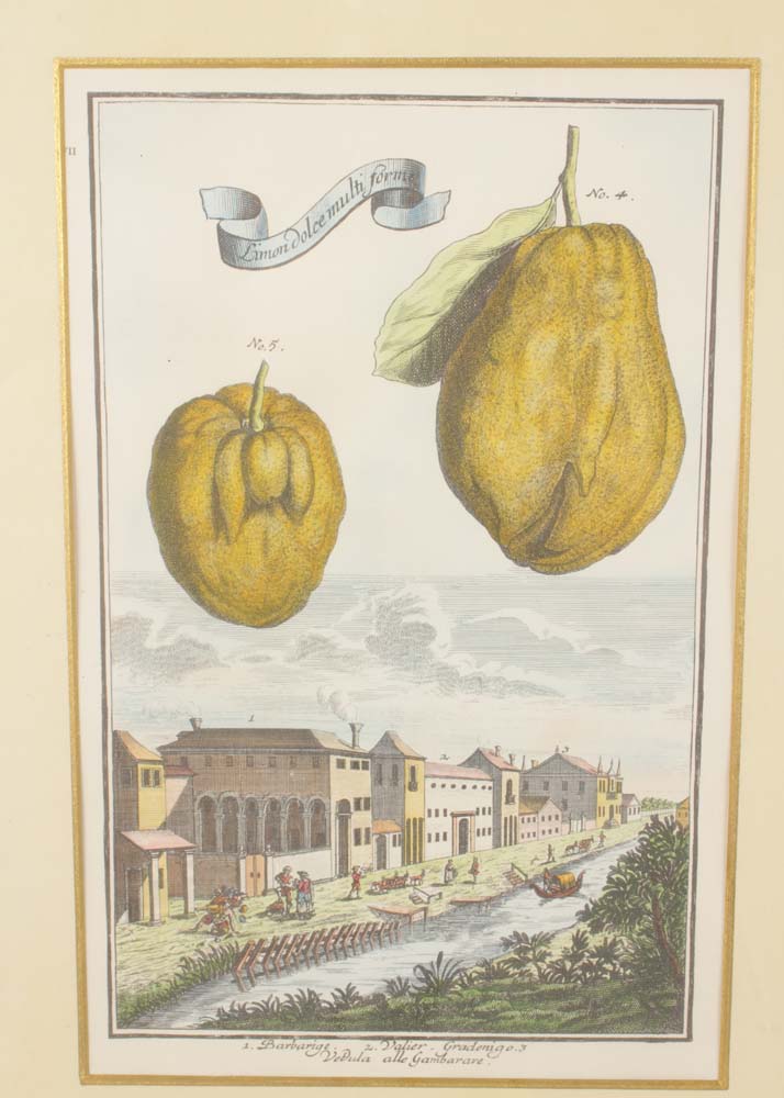 Pair of Vintage Hand Colored Lithographs