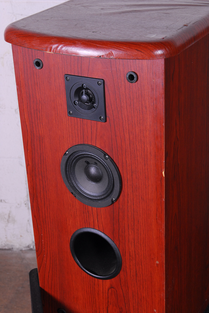 Techwood Pro Studio S6C Tower Speakers
