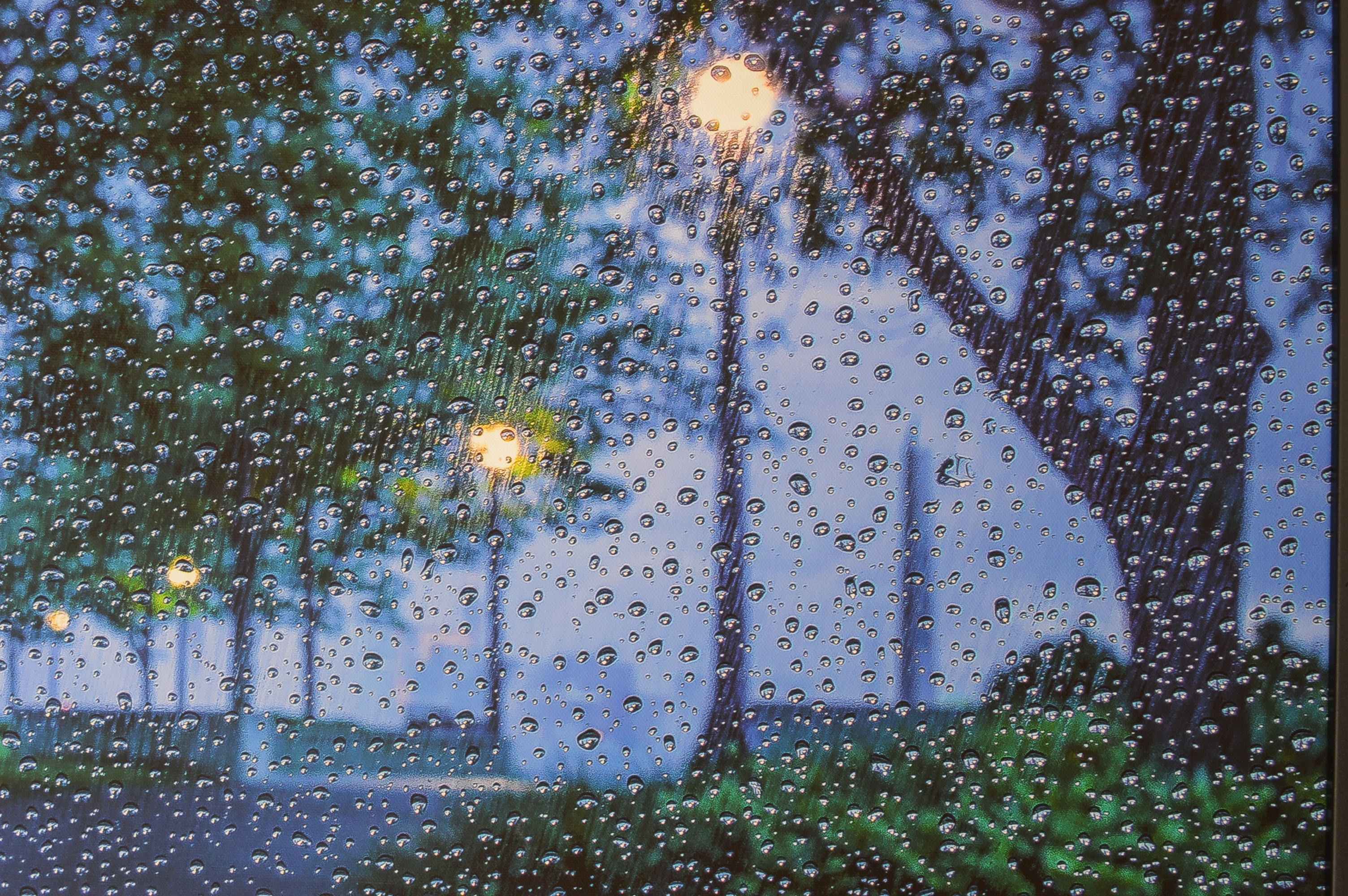 Giclée on Canvas Signed by Artist