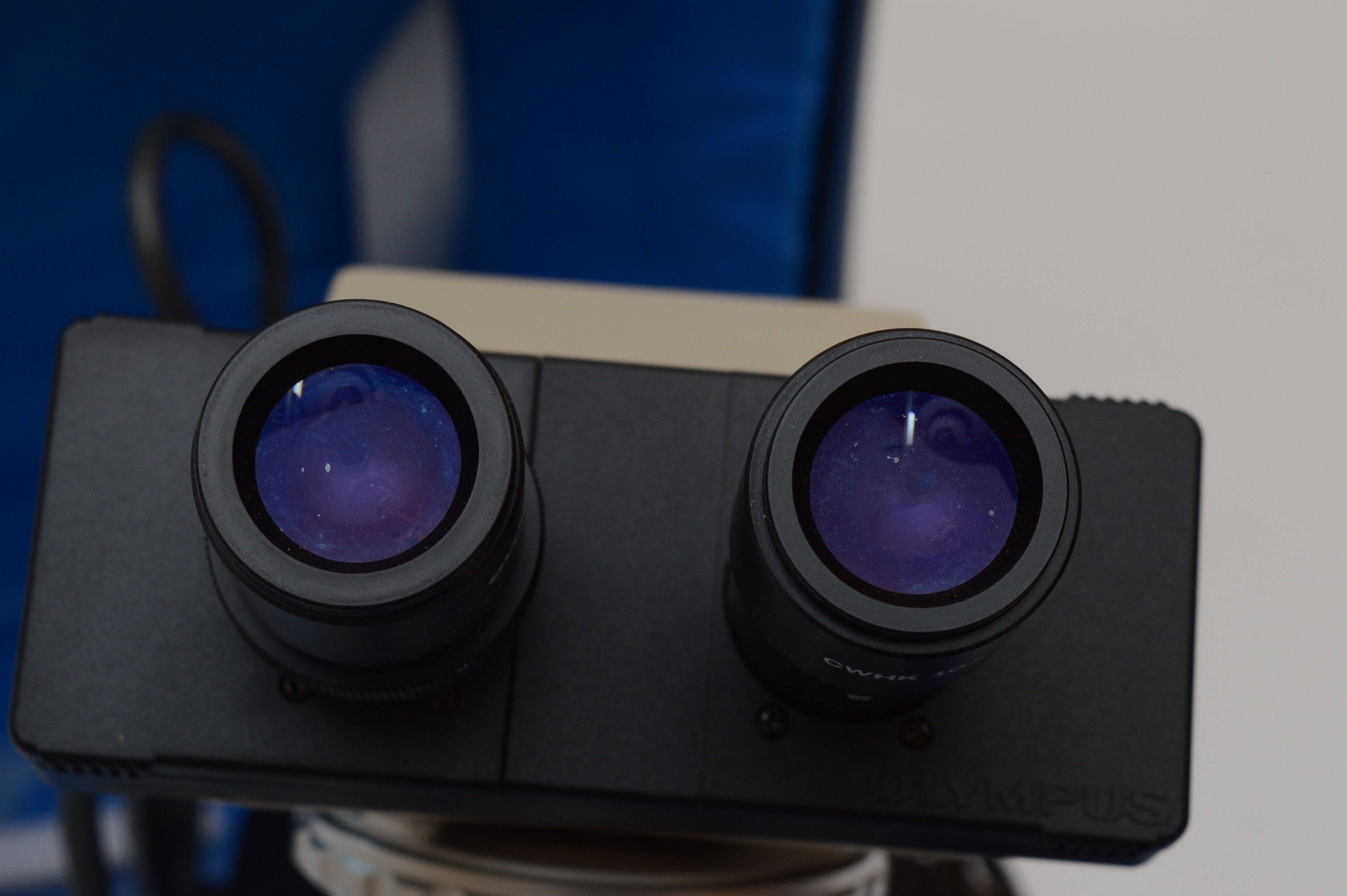 Olympus CH2 Microscope