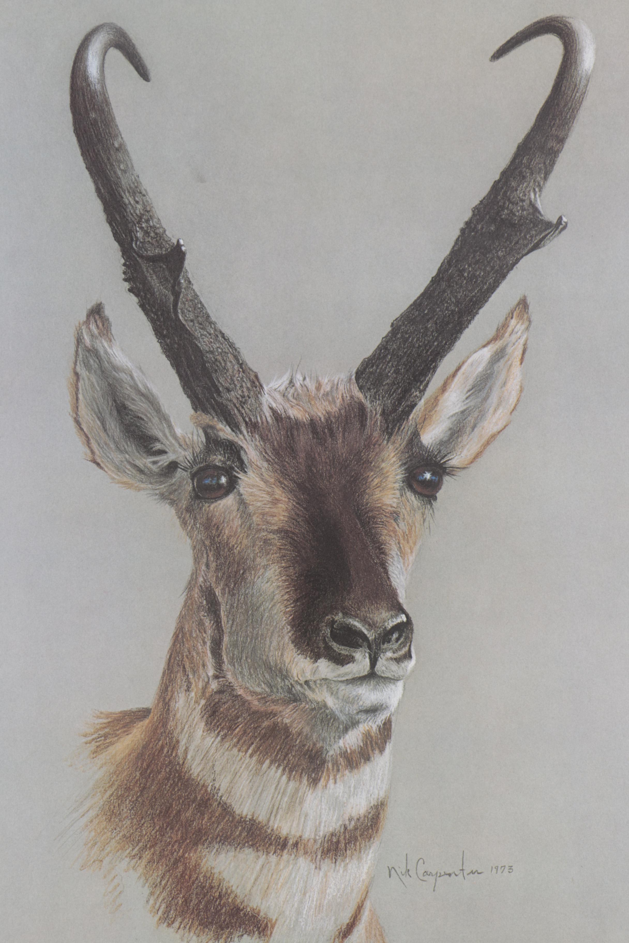 Nik Carpenter Offset Lithographs