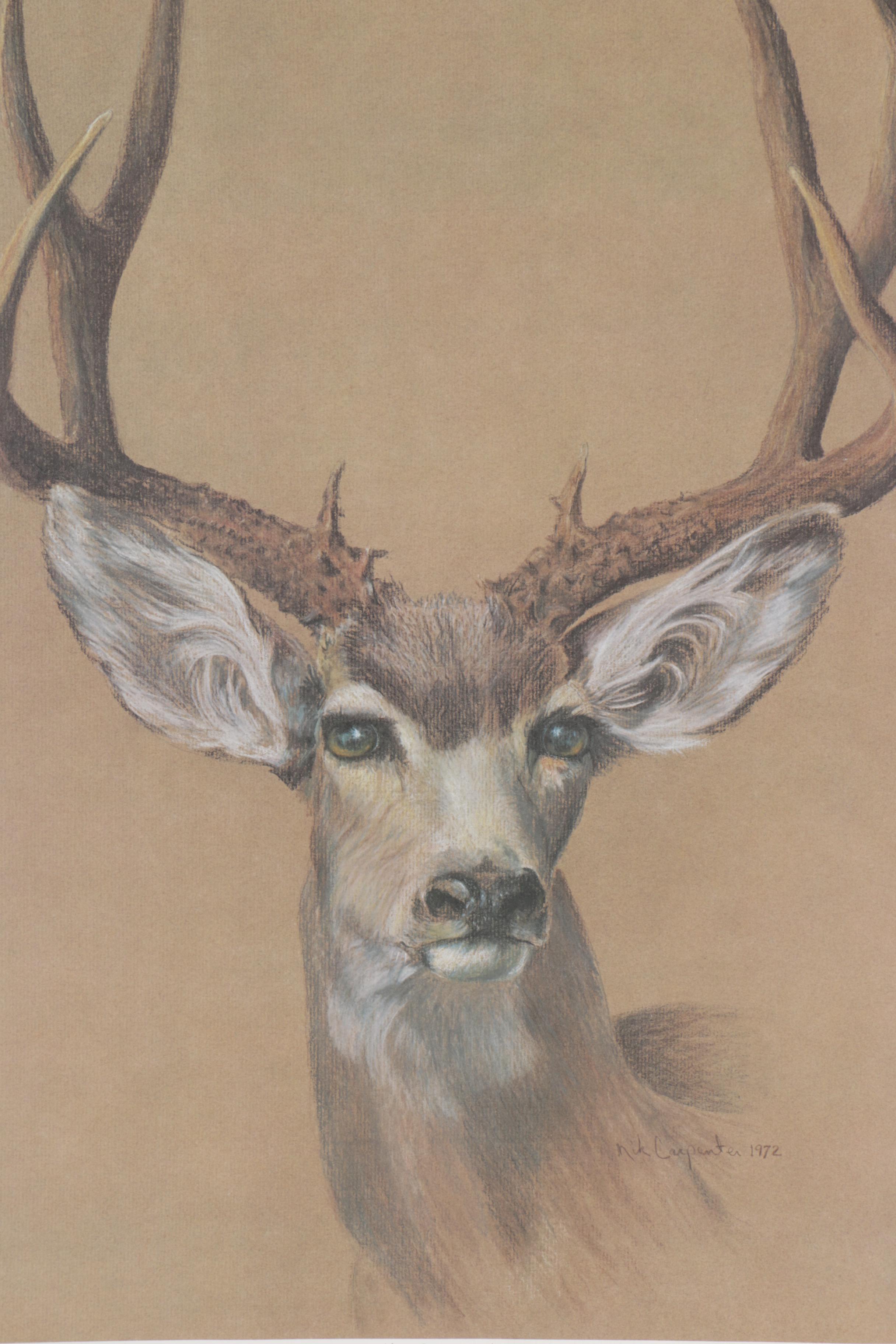 Nik Carpenter Offset Lithographs